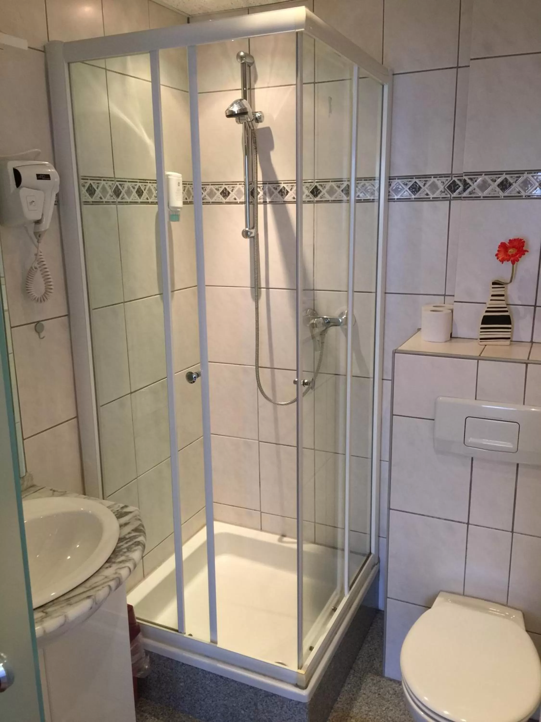 Shower in Hotel Rhein INN