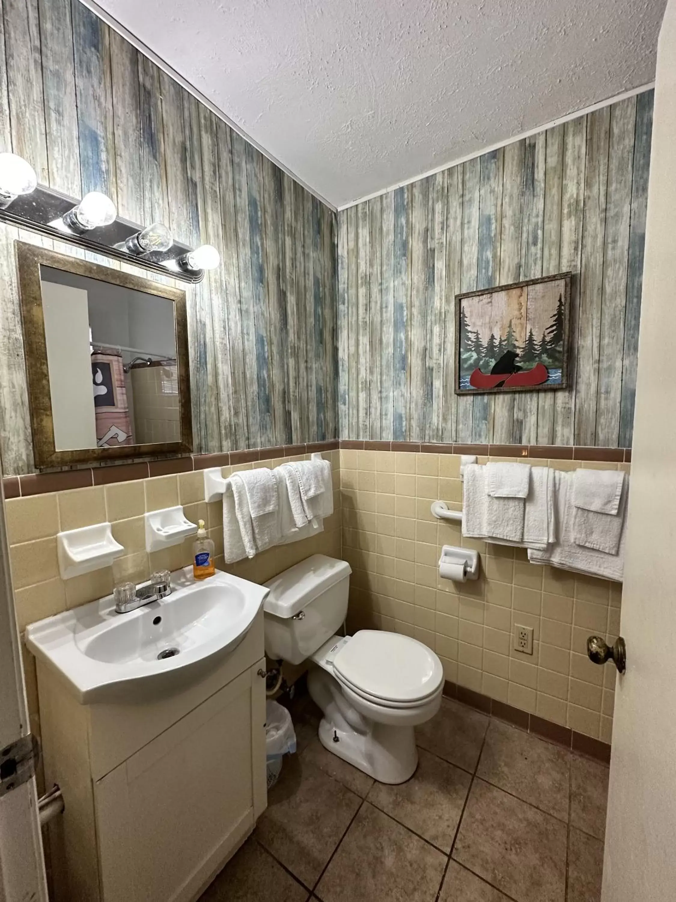Bathroom in Ski Mountain Lodge