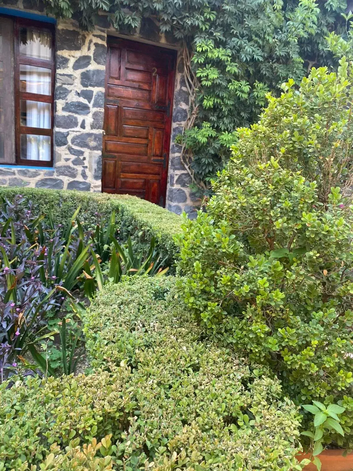 Garden, Property Building in Hacienda de las Flores