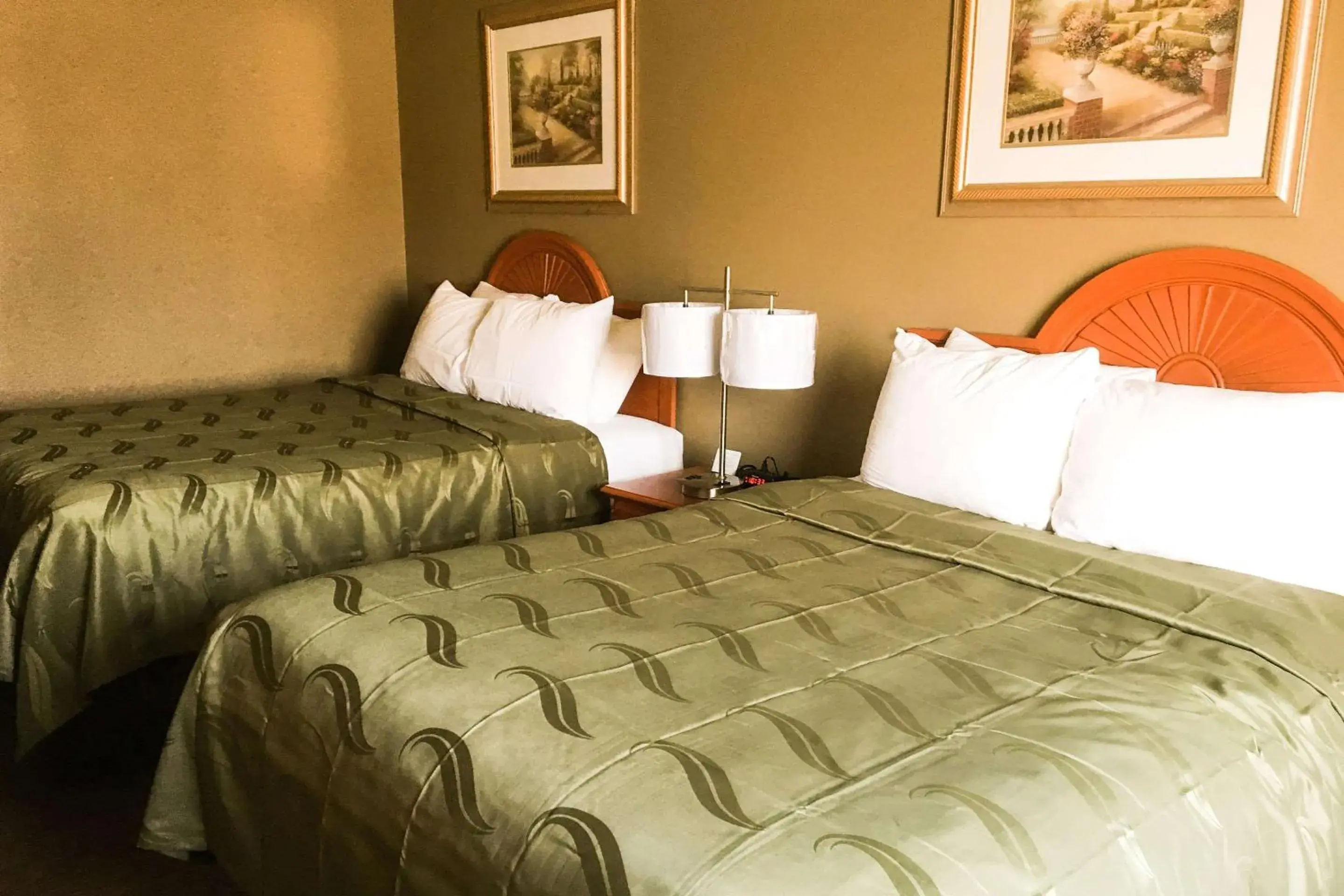 Photo of the whole room, Bed in Quality Inn & Suites Lincoln near I-55