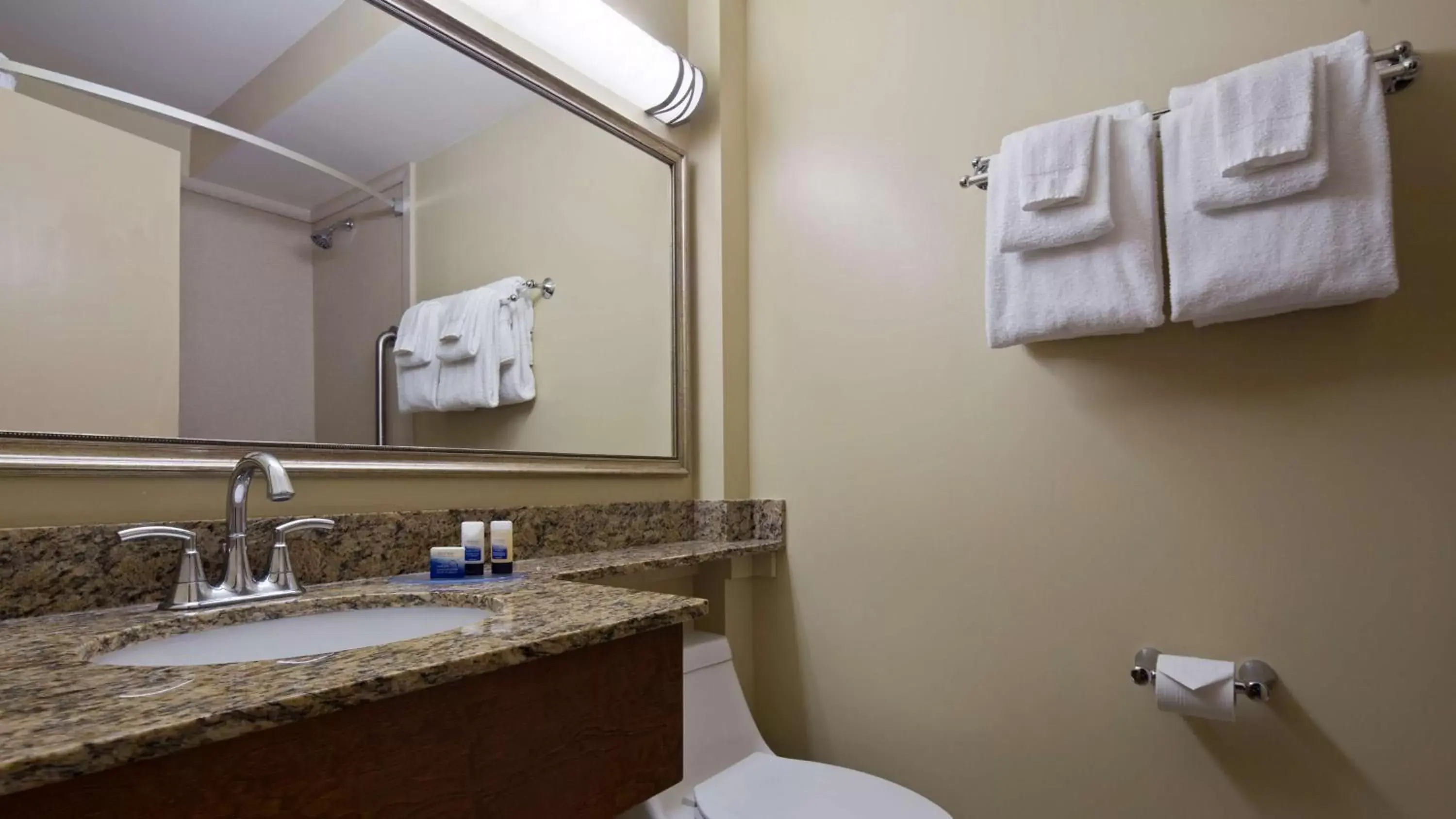 Bathroom in Best Western Charleston Inn