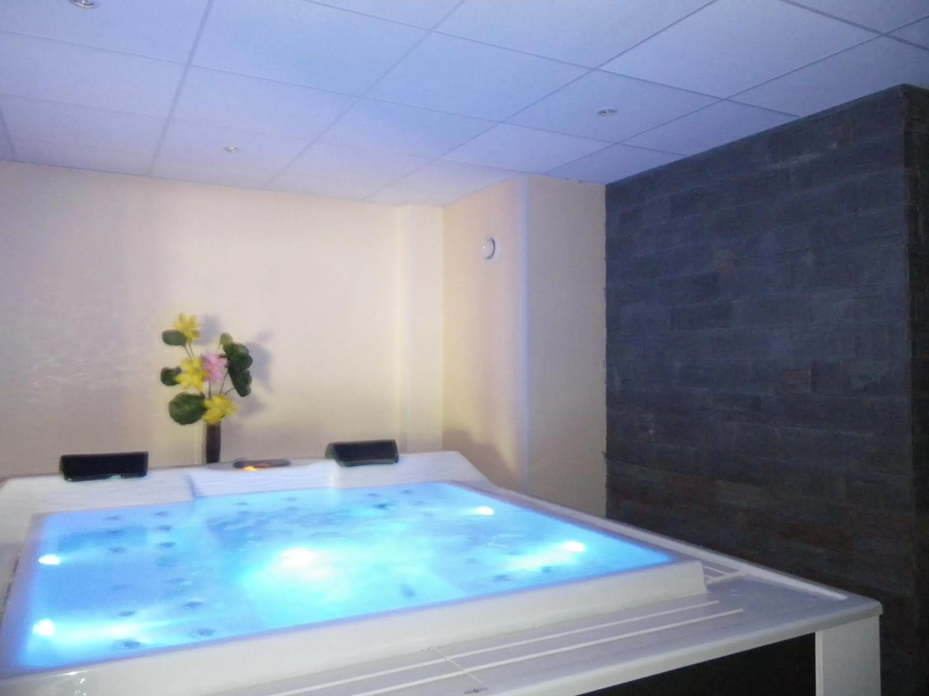 Hot Tub, Swimming Pool in Hotel De La Route Verte