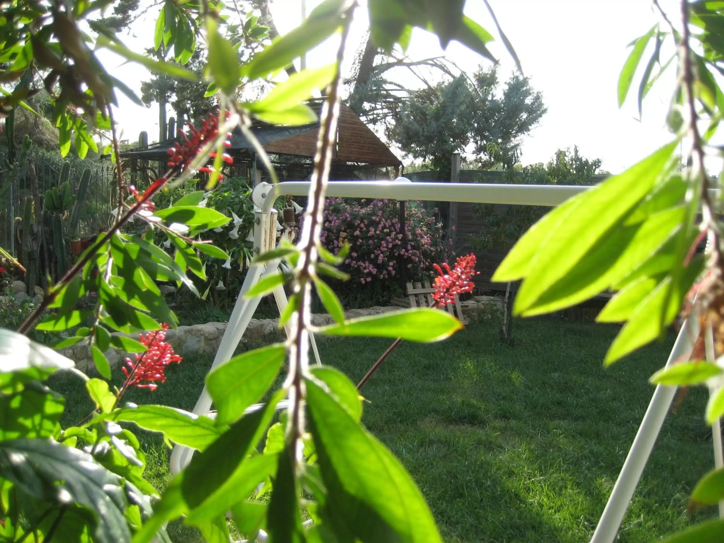 Garden in Oasi del Lago