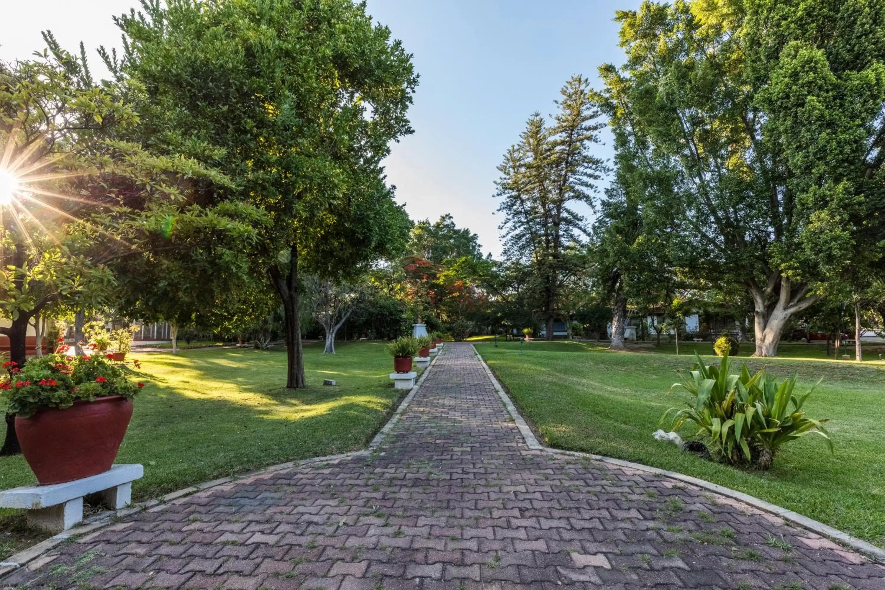 Garden view, Garden in Mision De Los Angeles