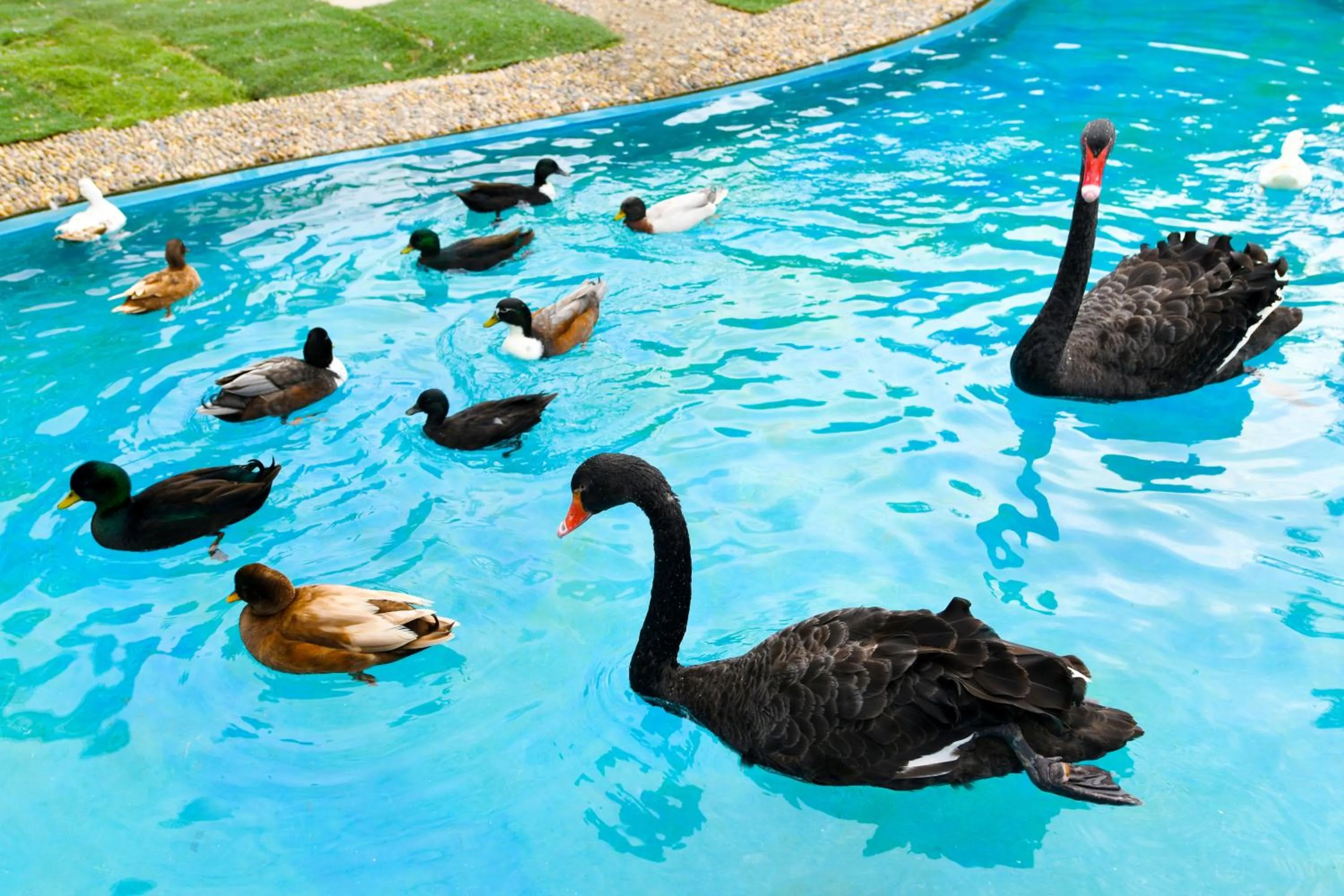 Children play ground in Crowne Plaza Shanghai Xiayang Lake by IHG