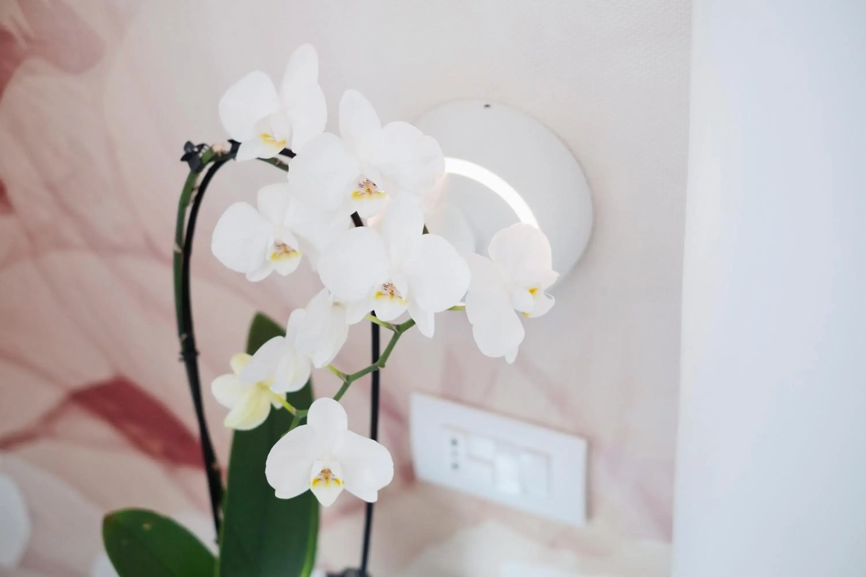 Decorative detail, Bathroom in Hotel Stella D'Oro