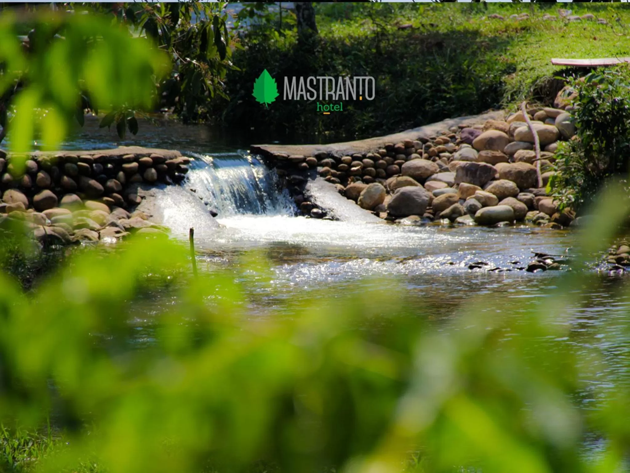 Spring in Hotel Mastranto