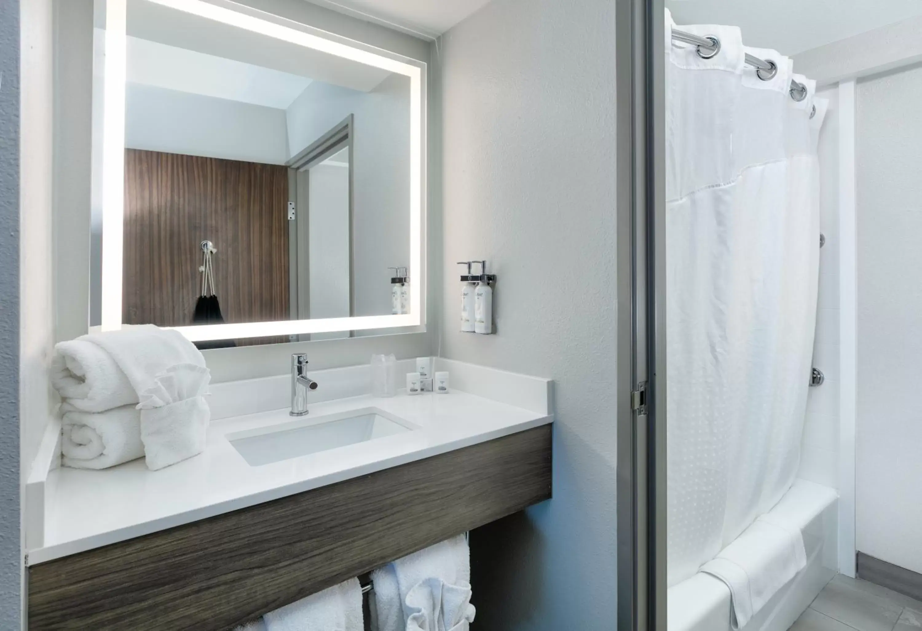 Bathroom in Holiday Inn Express & Suites - Dallas Park Central Northeast, an IHG Hotel