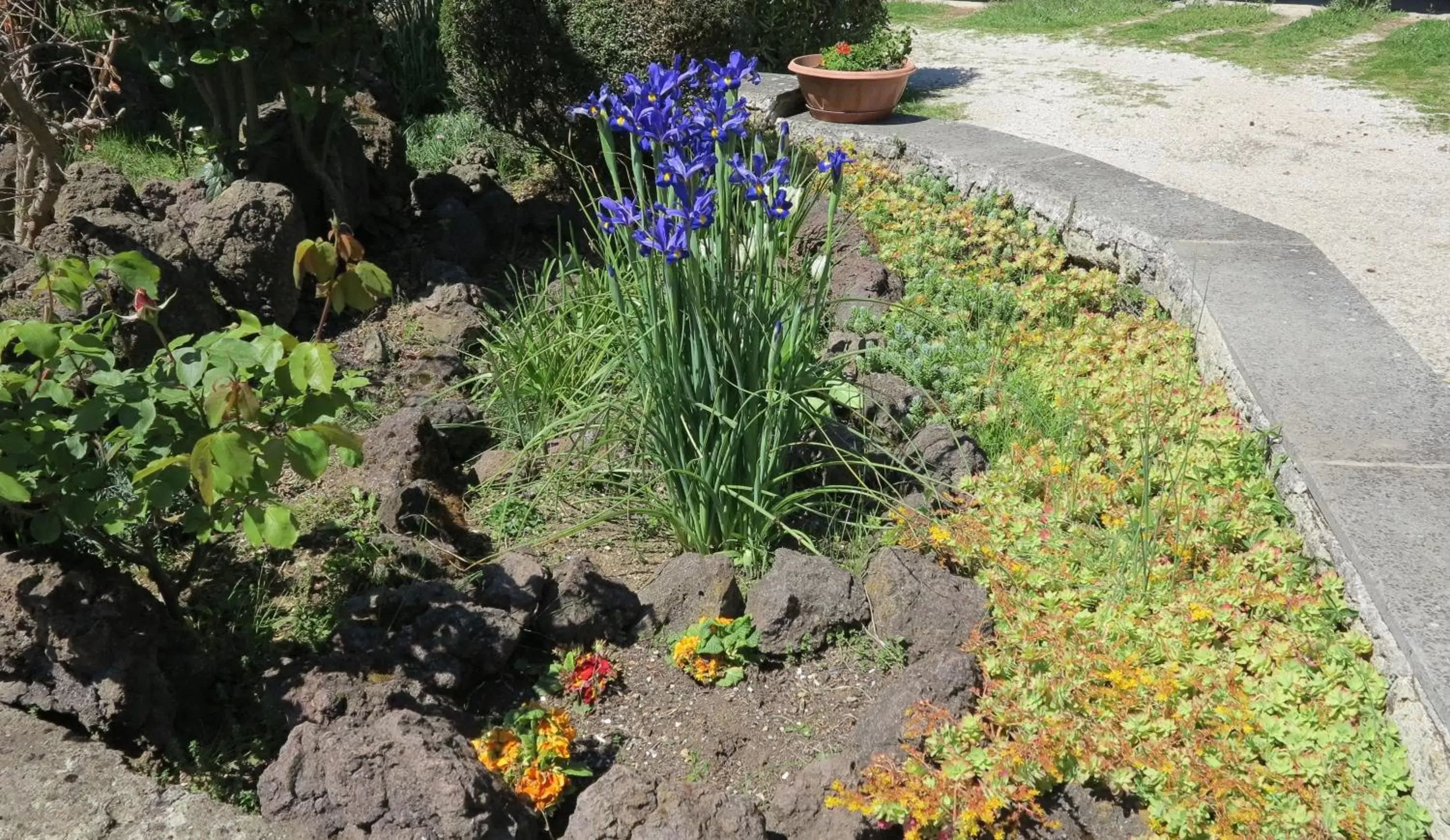 Garden in BiancoCancello