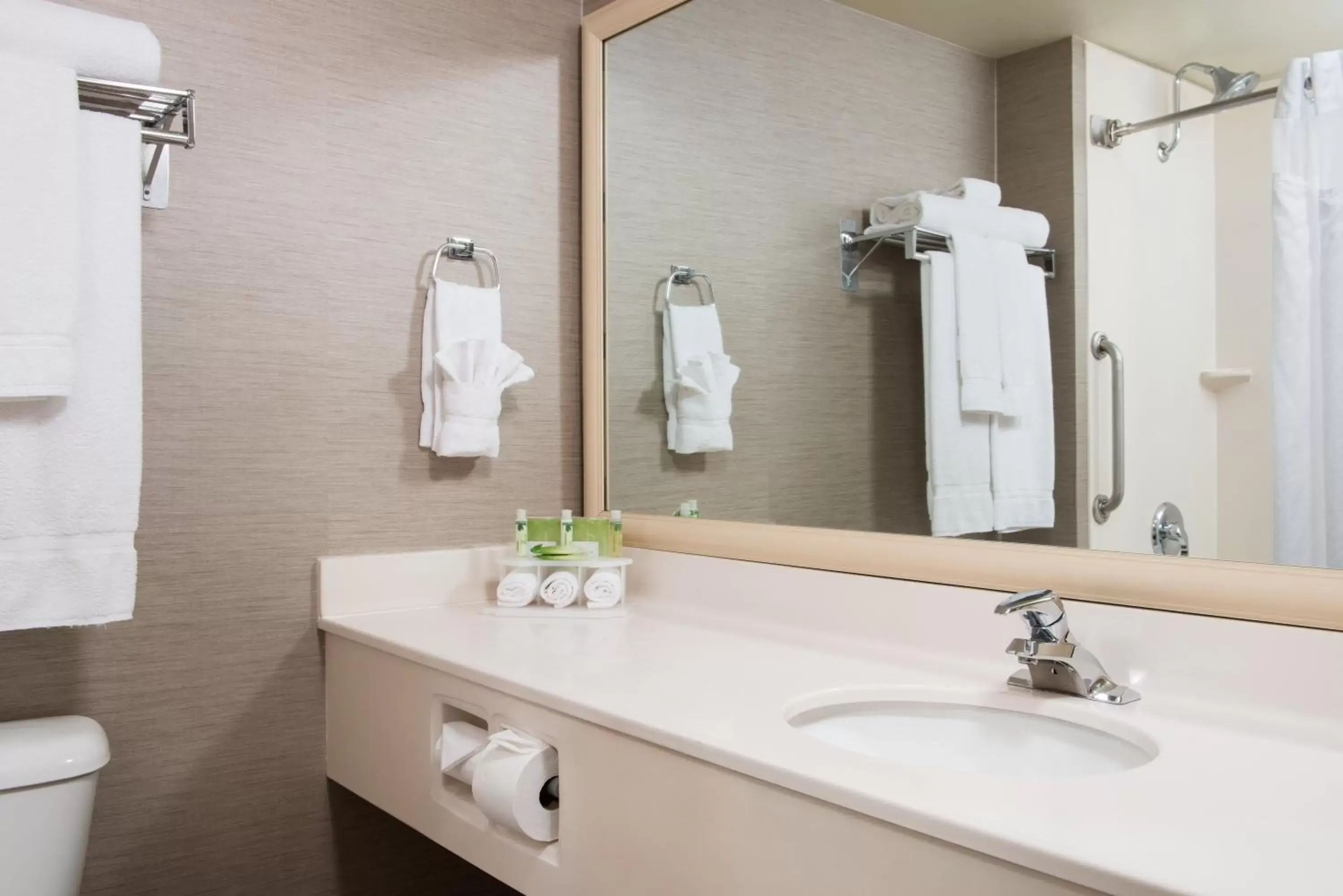 Bathroom in Holiday Inn Express Hotels & Suites Burlington, an IHG Hotel