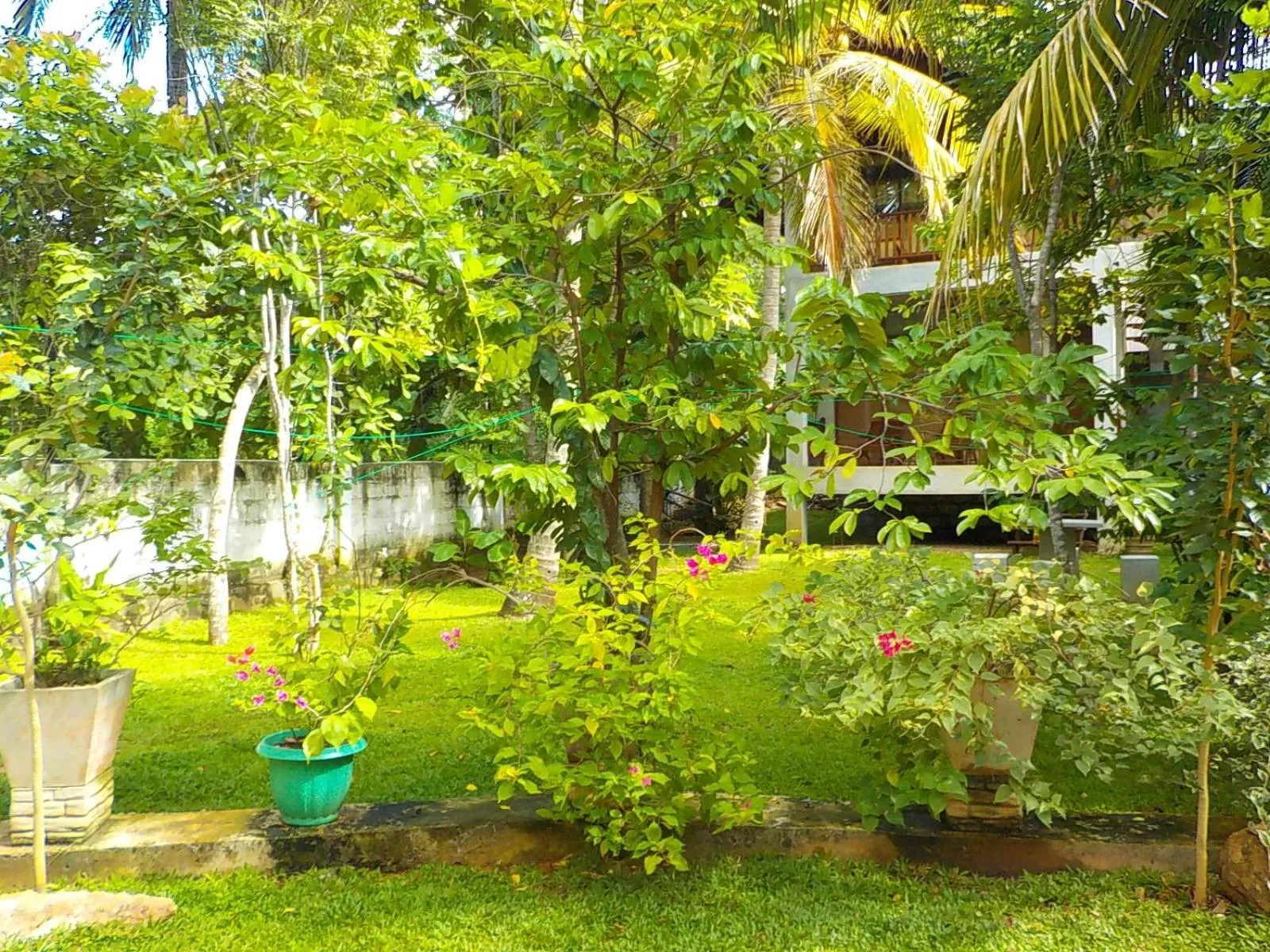 Garden in Liyana Holiday resort