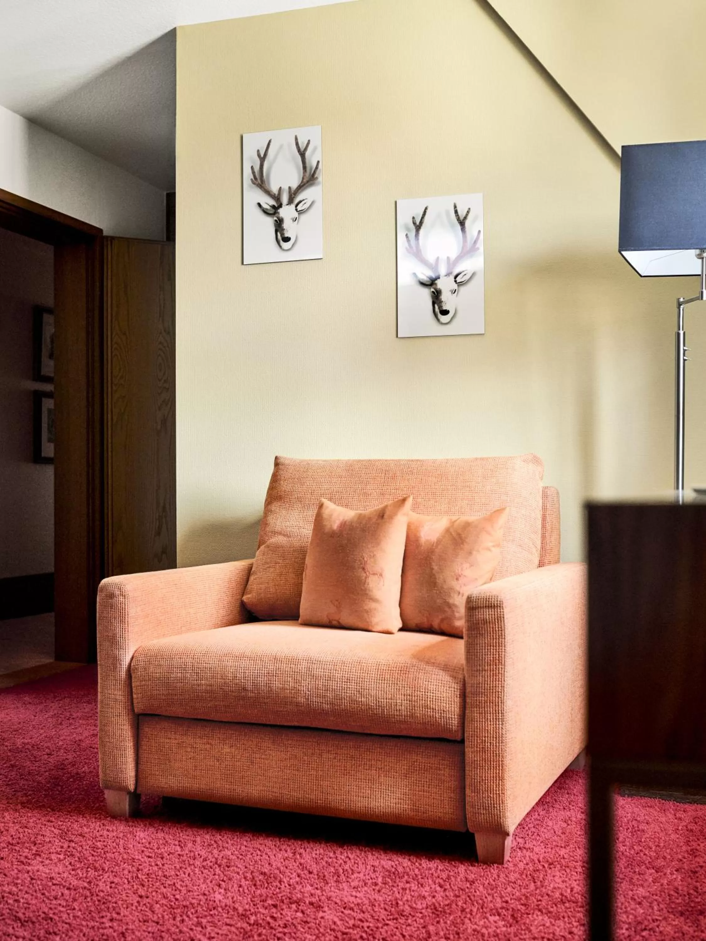 Photo of the whole room in Hirsch Hotel