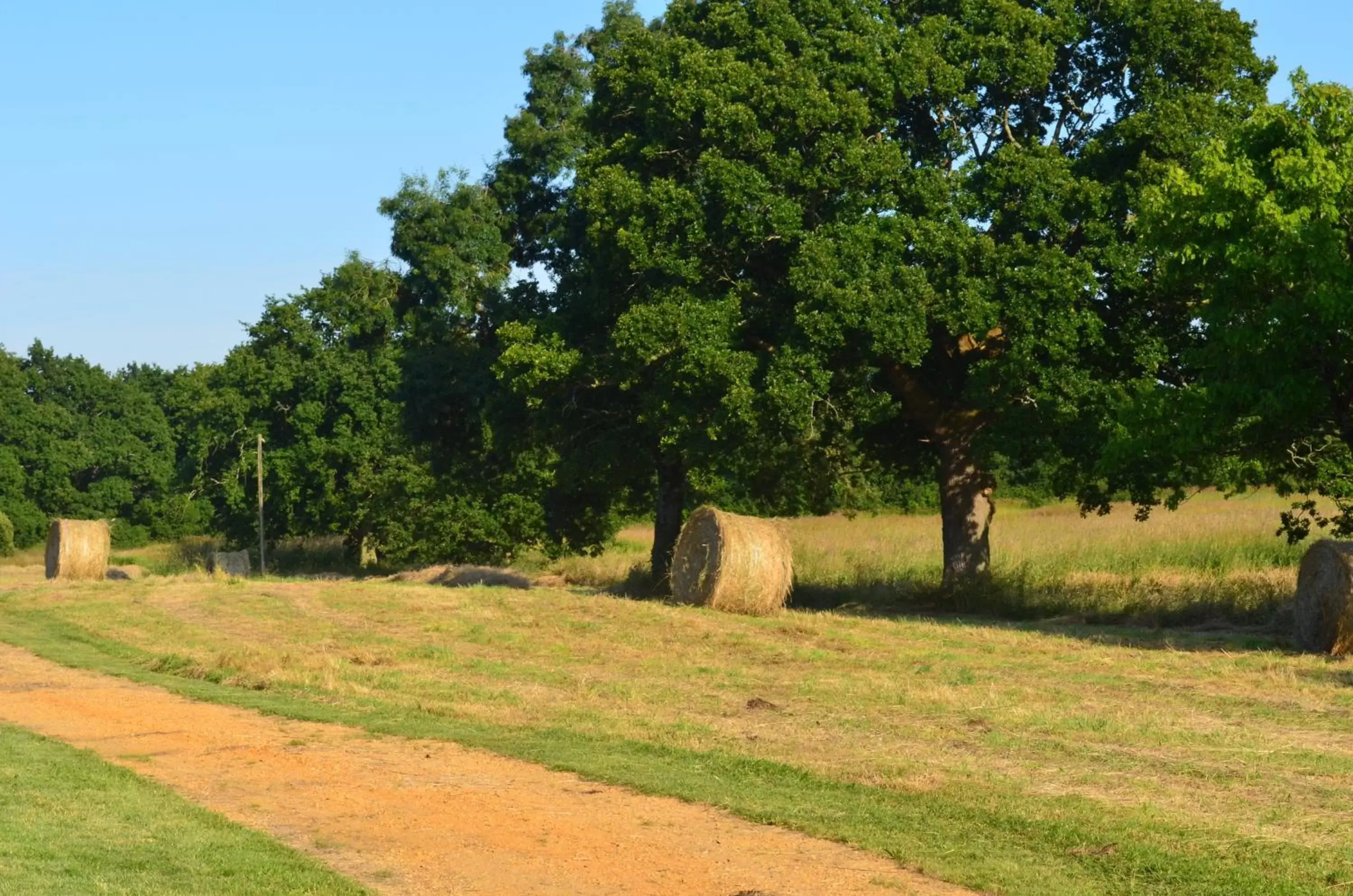 Garden in La Ferme Du Blanchot