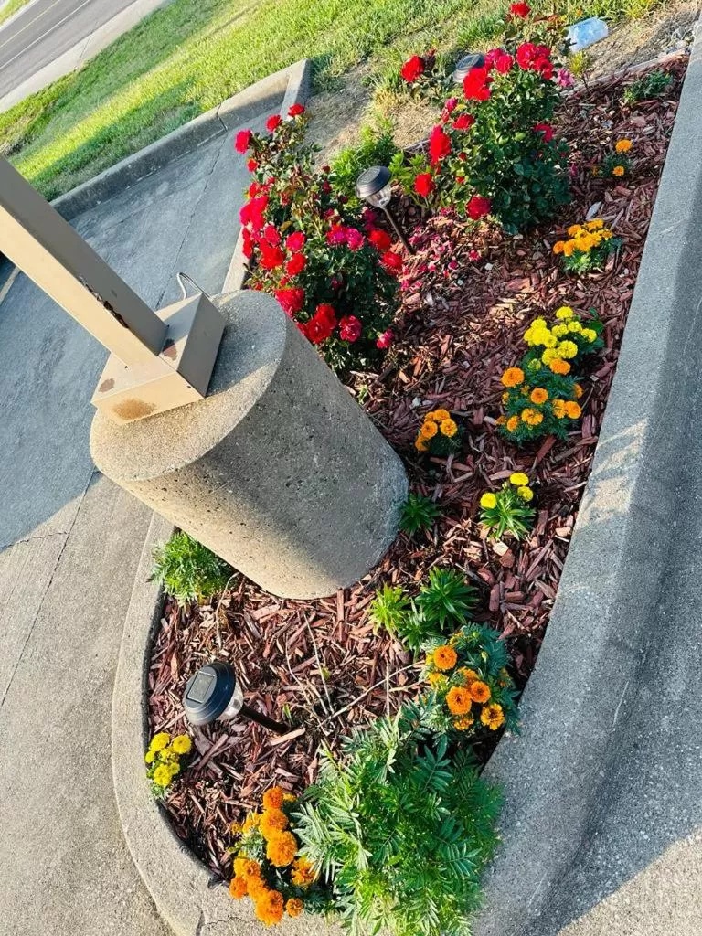 Garden in Super 8 by Wyndham Warrenton