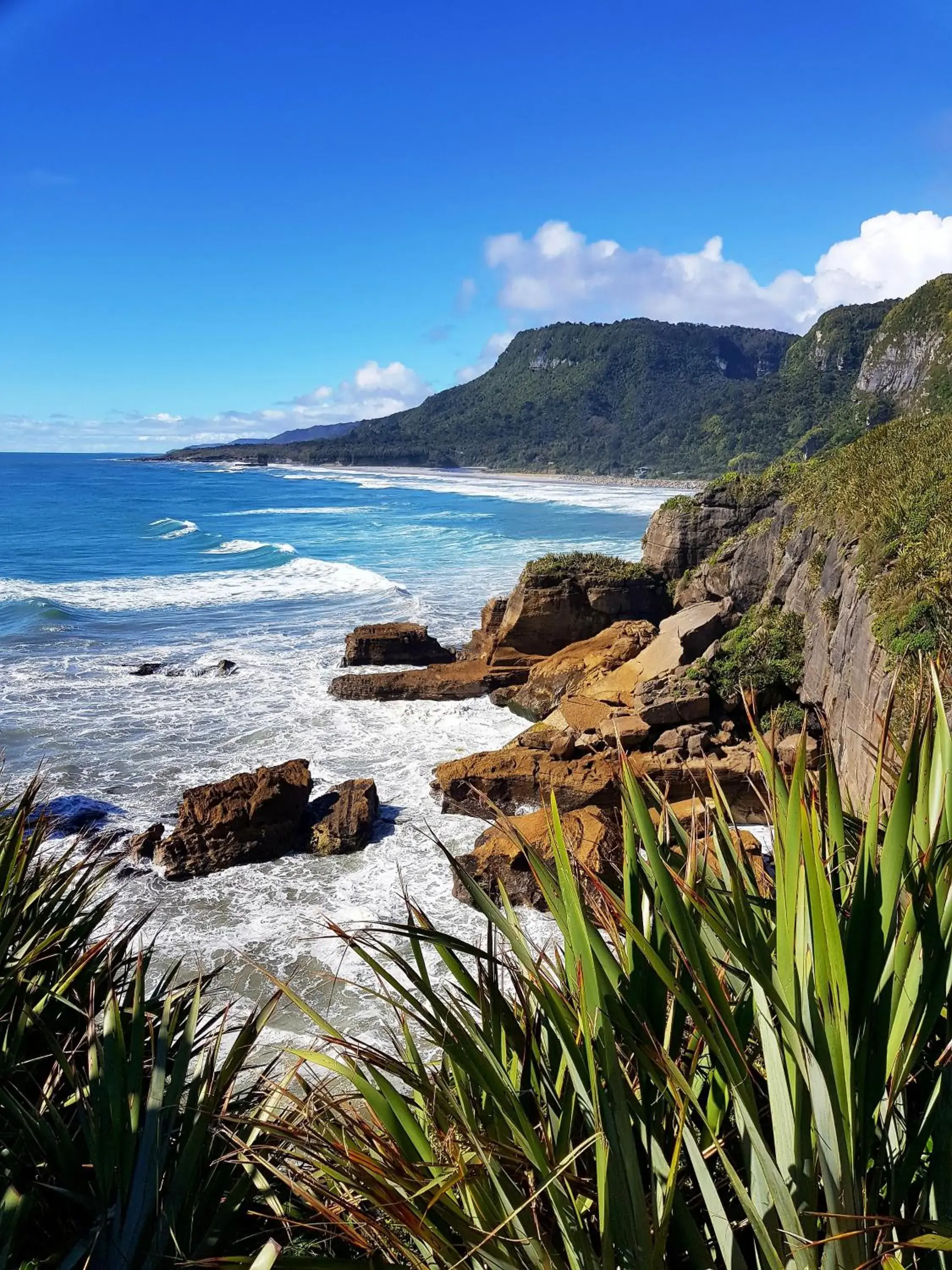 Nearby landmark, Beach in Noah's Ark Backpackers