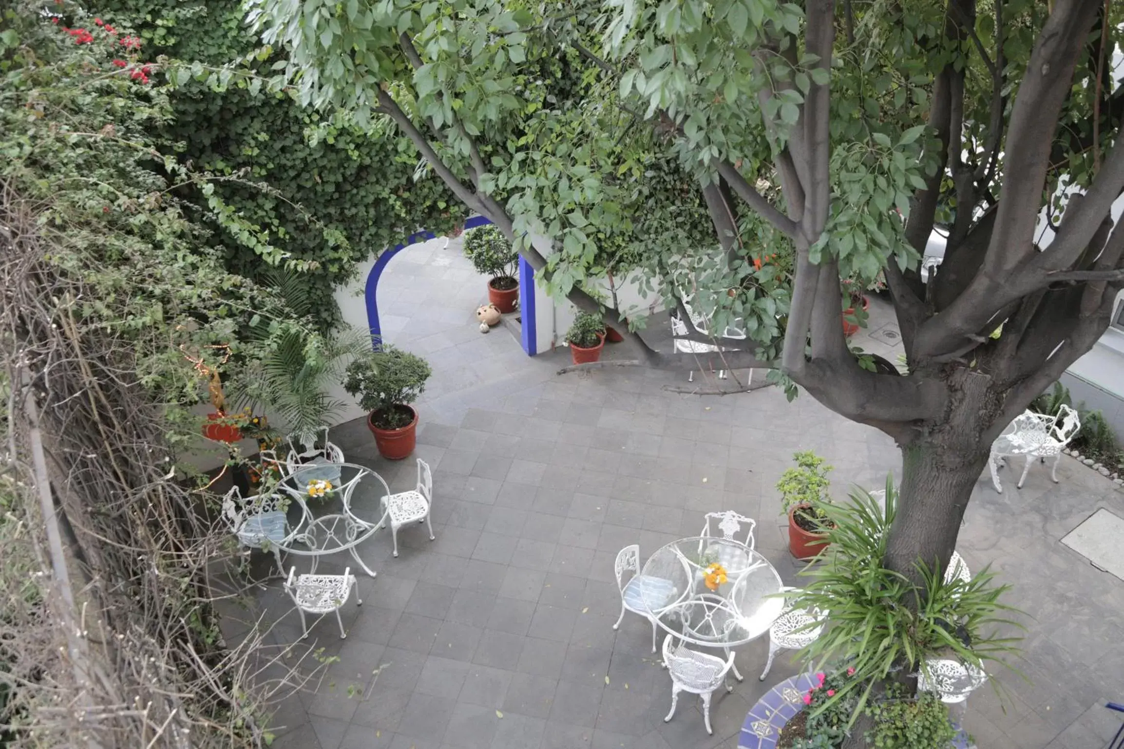 Garden, Restaurant/Places to Eat in Hotel Casa Gonzalez