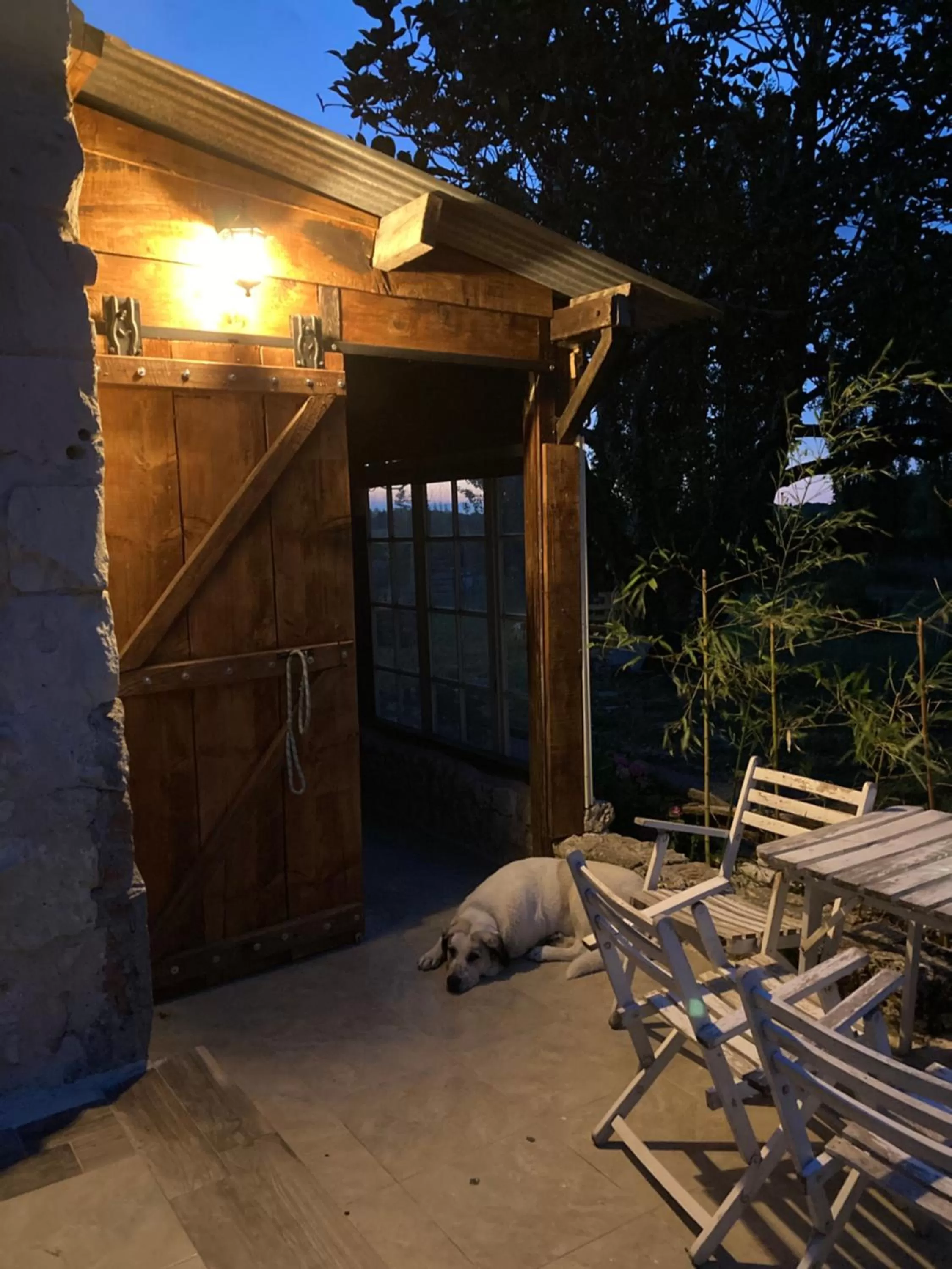 Property Building in Chez Gustave & Compagnie