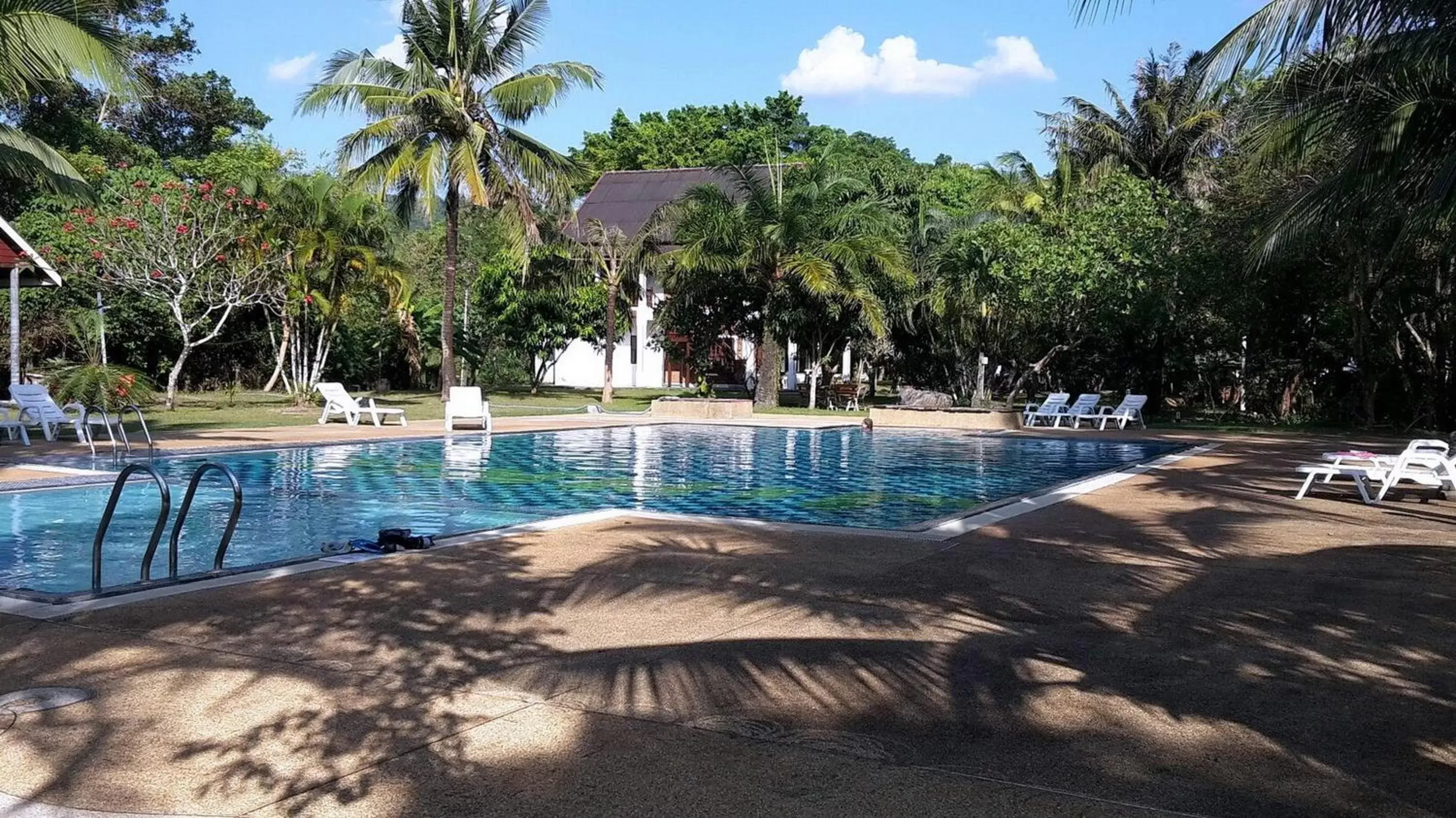 Garden, Swimming Pool in Doo Dee Boutique Resort by Swiss Chalet