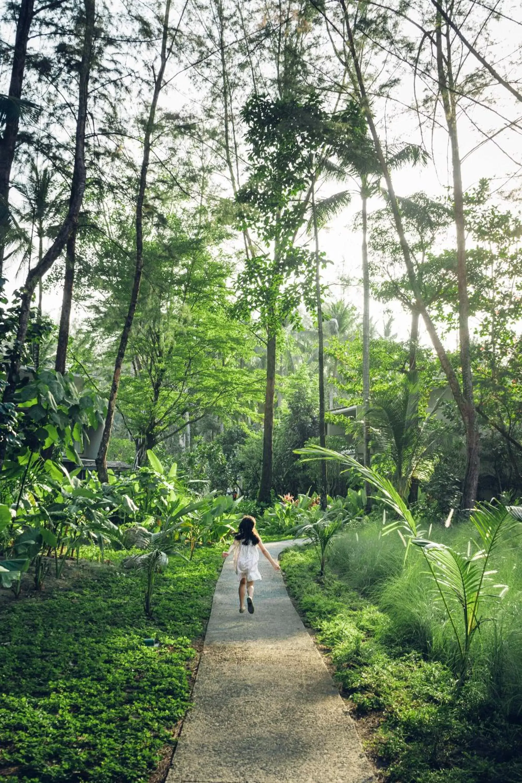 Garden in Avani Plus Khao Lak Resort