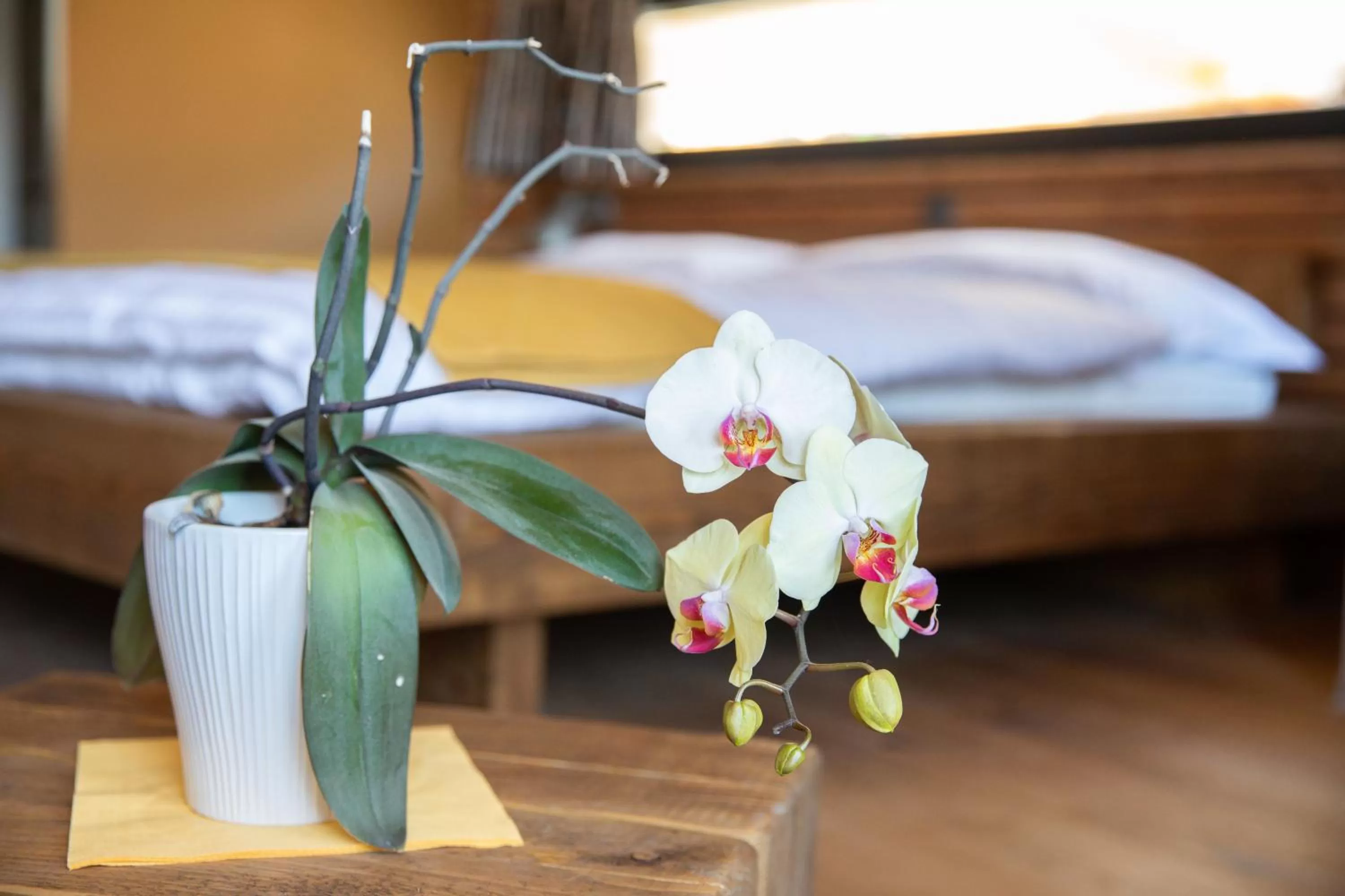 Bedroom, Bed in La Tzavane