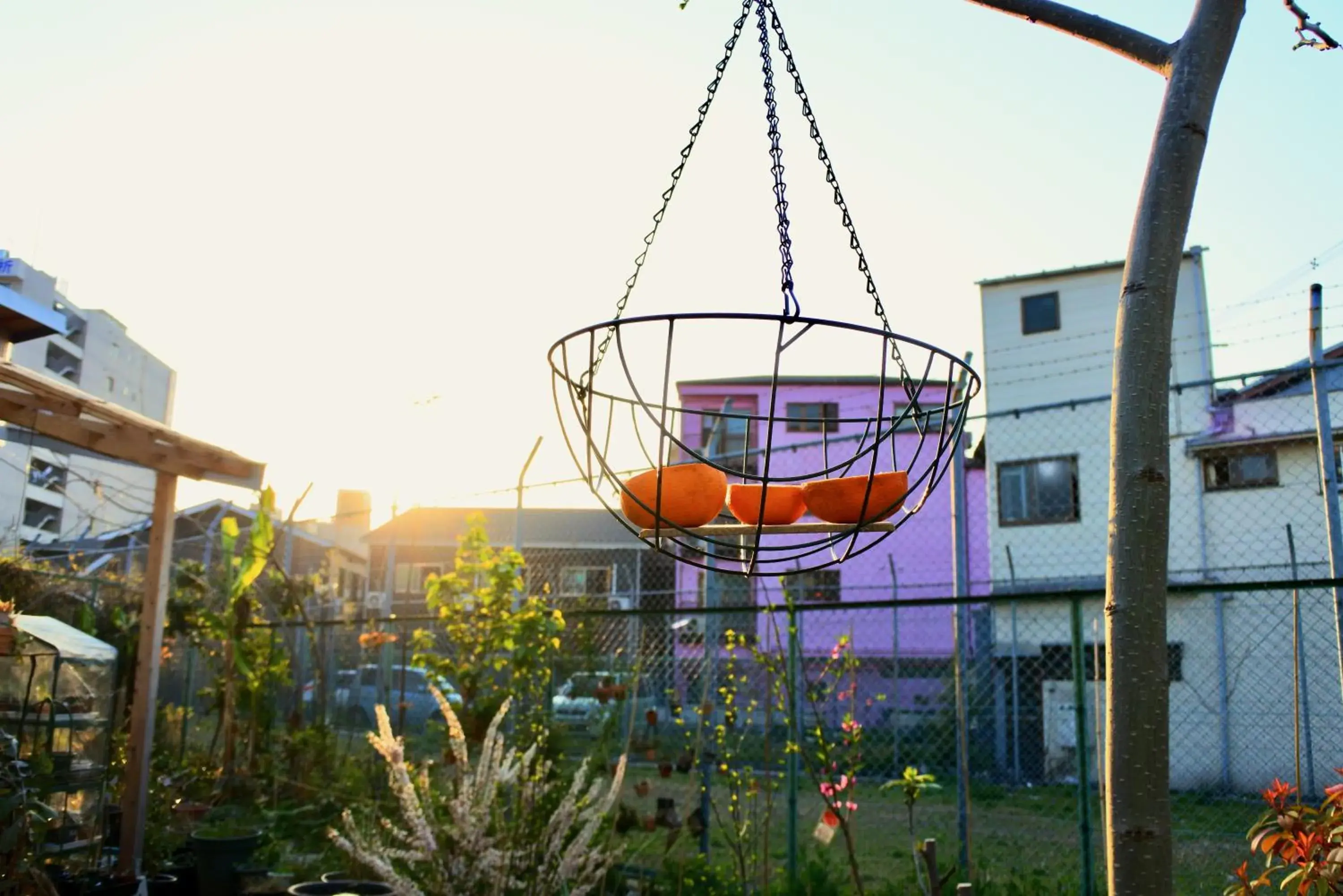 Garden view in Kamagasaki University of the Arts Cafe Garden Guest House aka KAMAGEI