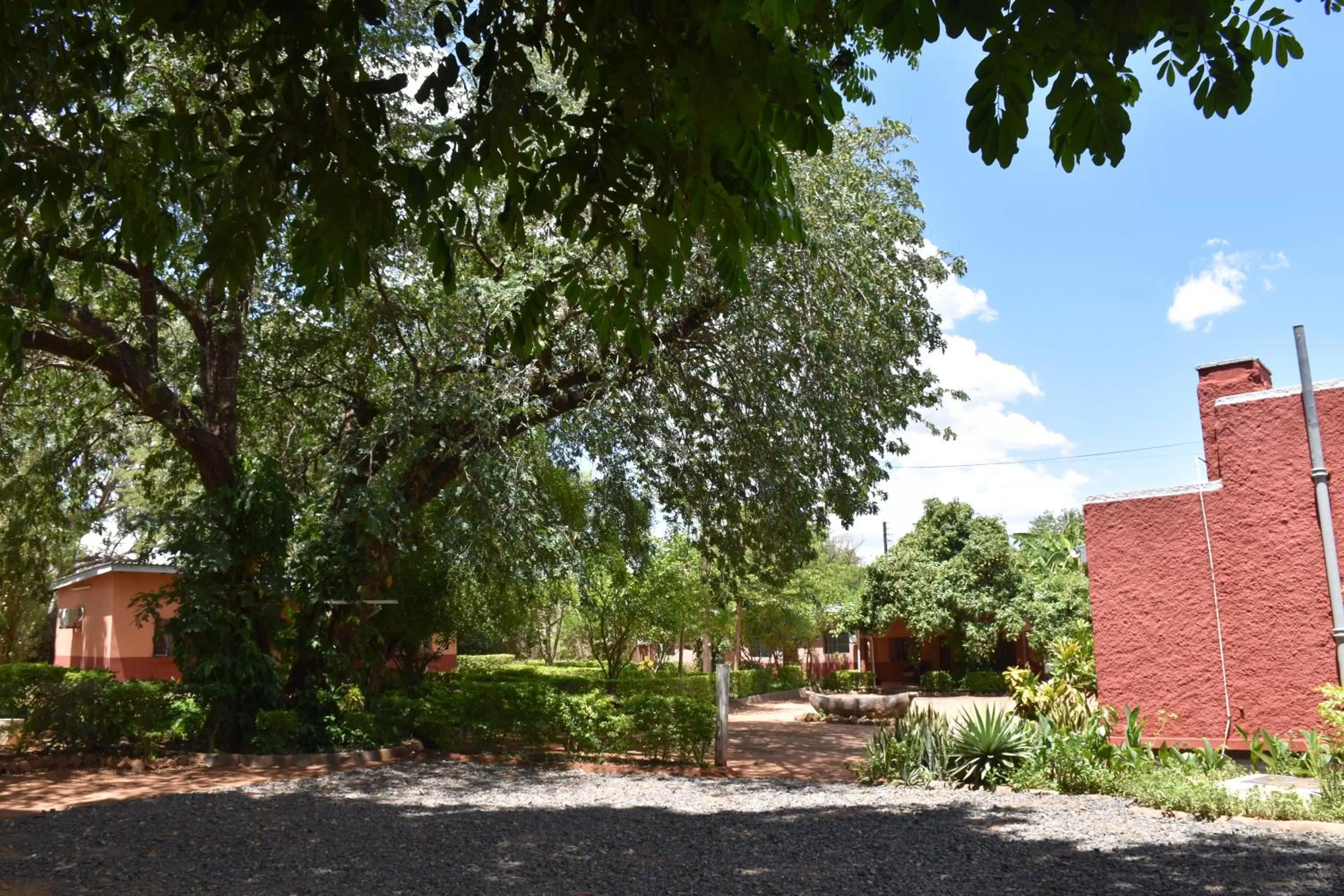 Garden in Tabonina Bis