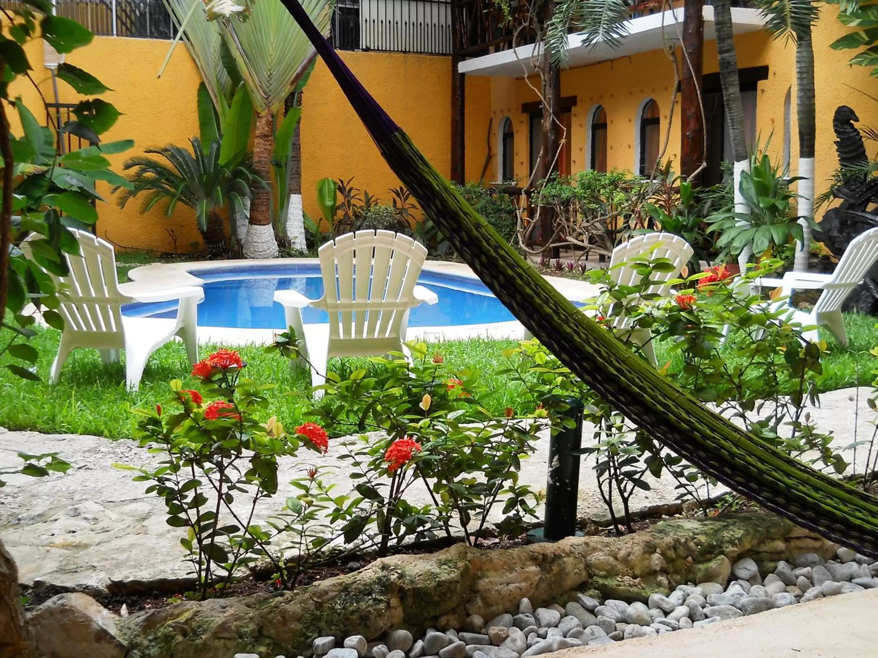 Patio, Swimming Pool in Hotel Bosque Caribe, 5th Av. zone