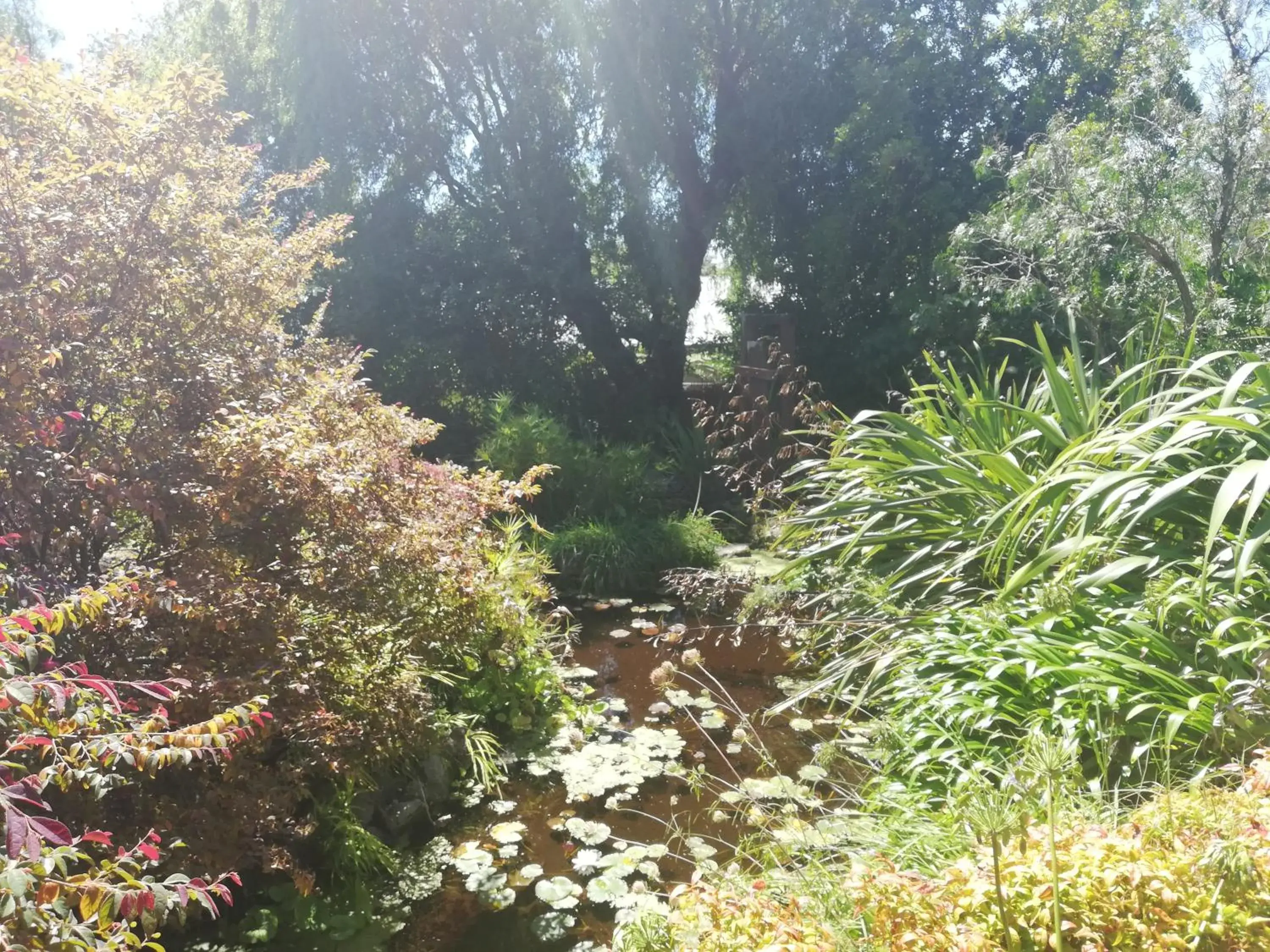 View (from property/room), Garden in Joya Garden & Villa Studios