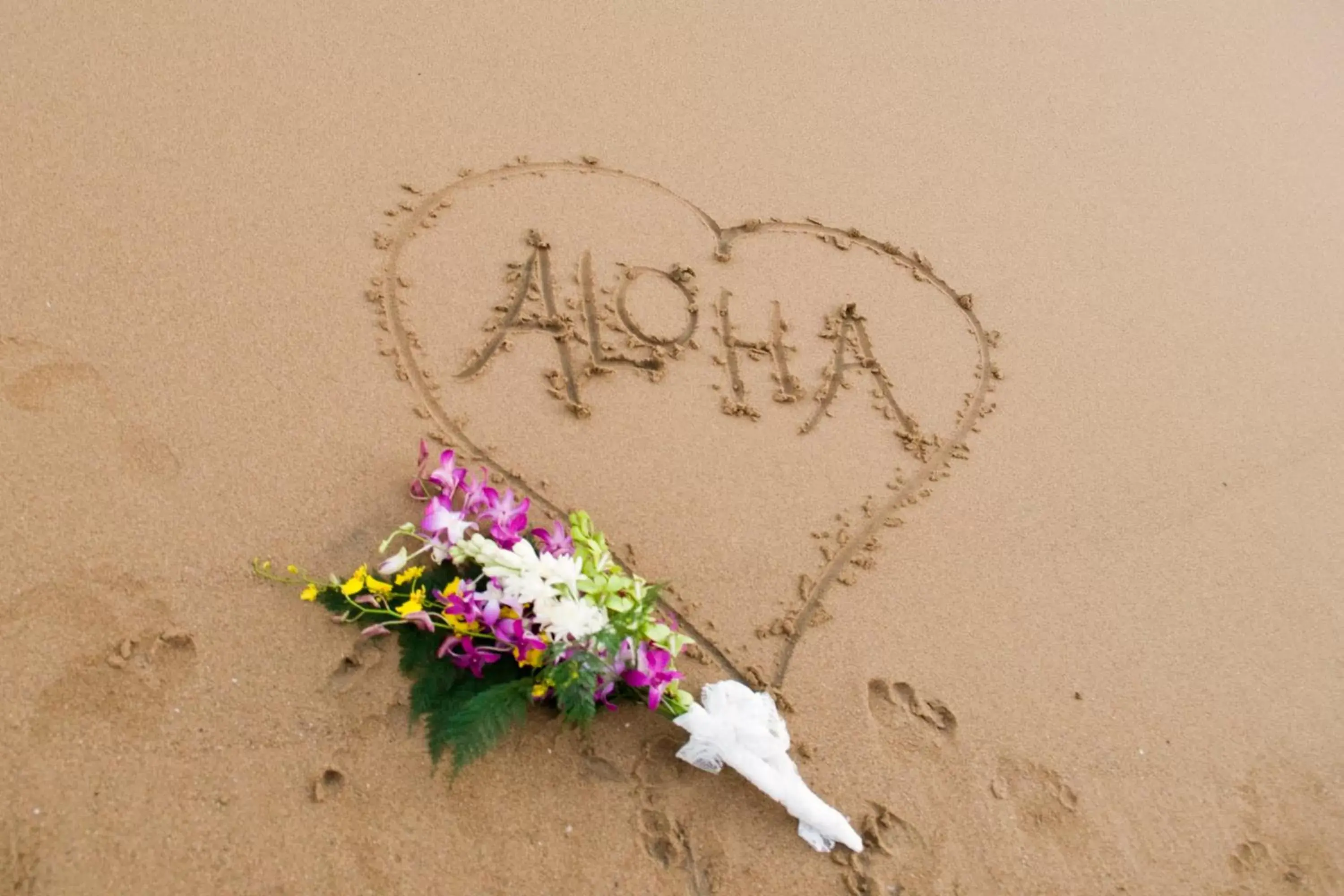 Beach in The Royal Sonesta Kauai Resort Lihue