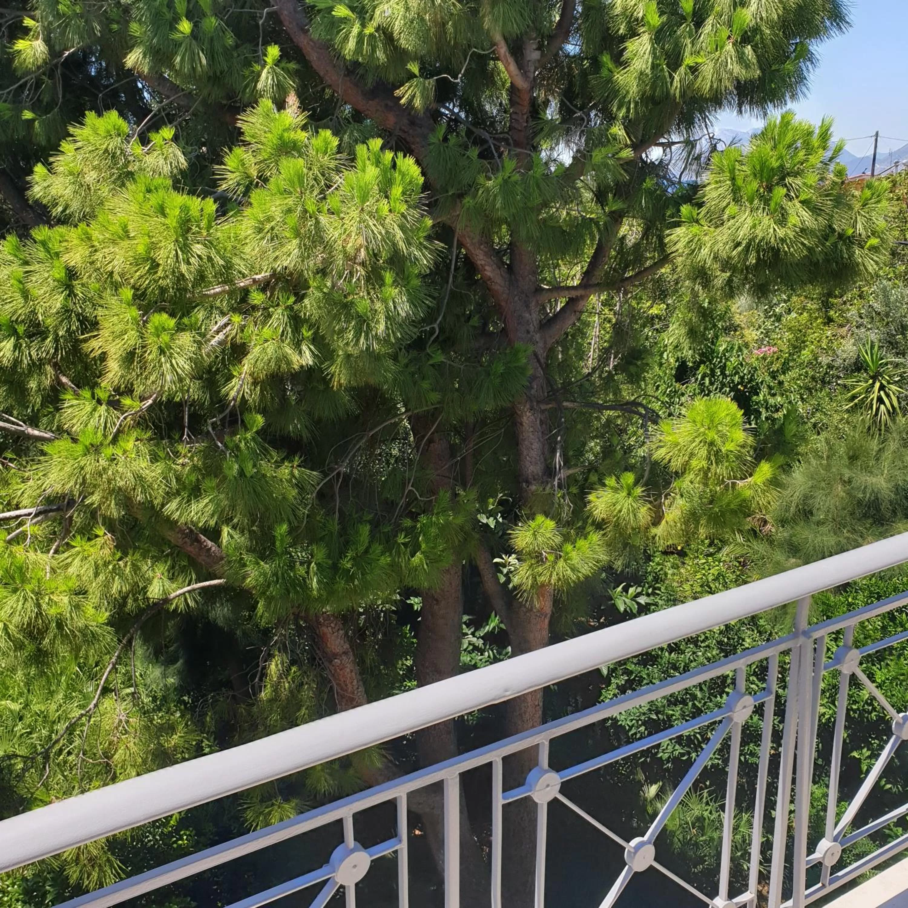 Balcony/Terrace in Alexia's Apartments