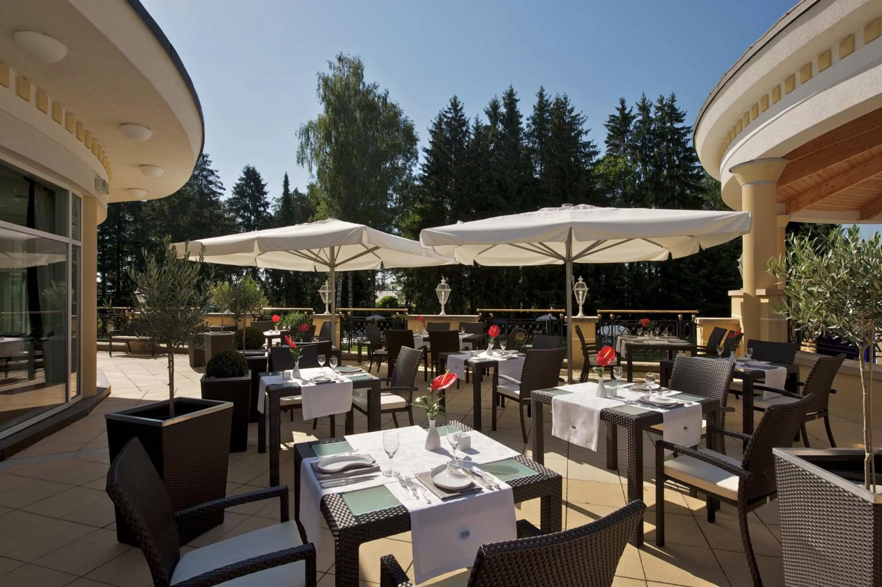 Restaurant/places to eat in Steigenberger Hotel Der Sonnenhof