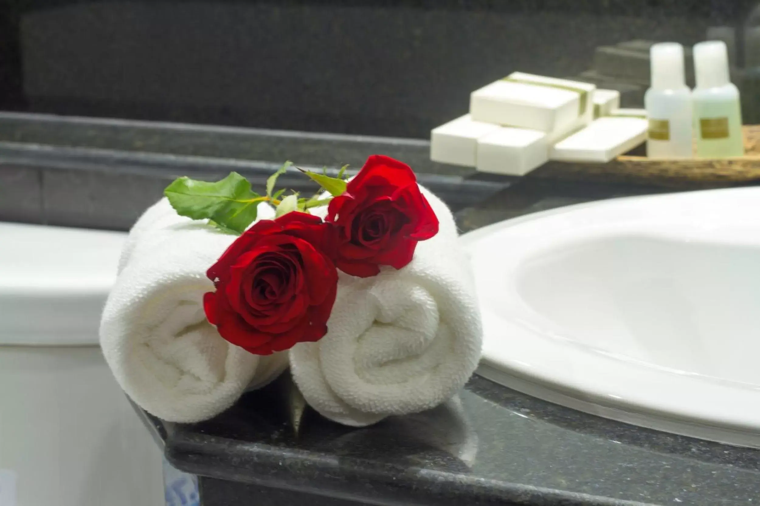 Decorative detail, Bathroom in Rose Emerald Hotel