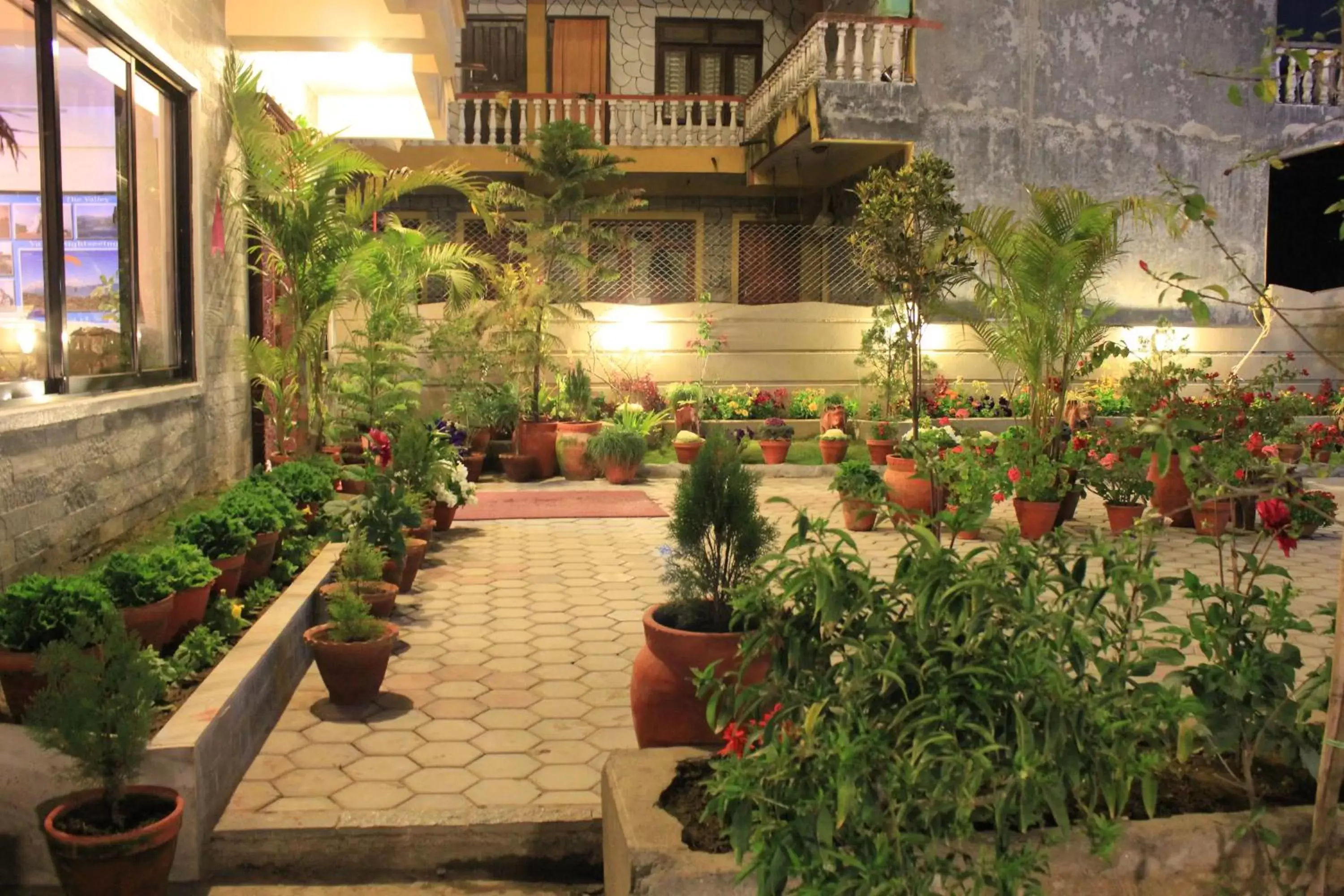 Garden in Hotel Orchid