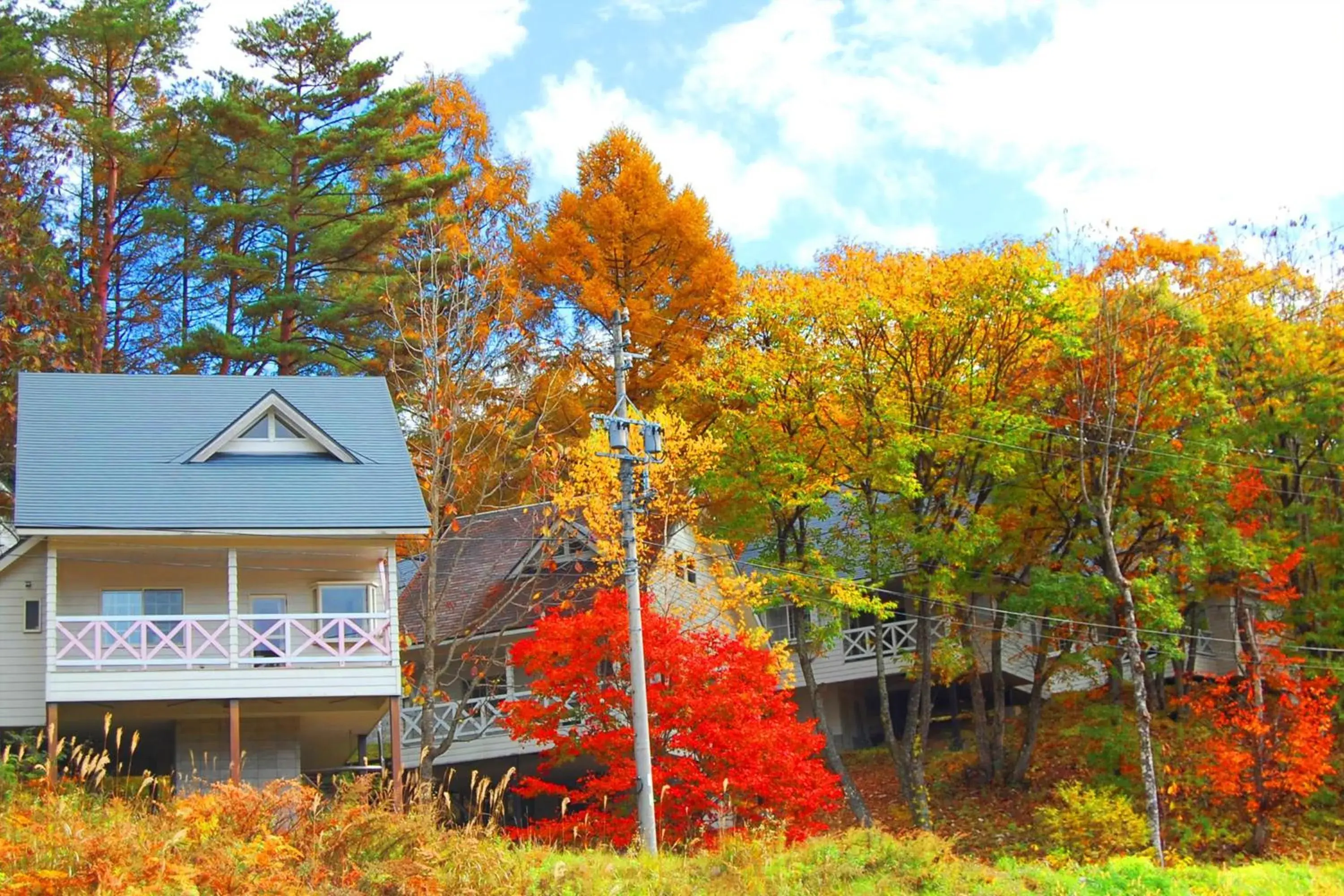 Autumn, Property Building in Resort Villa Takayama