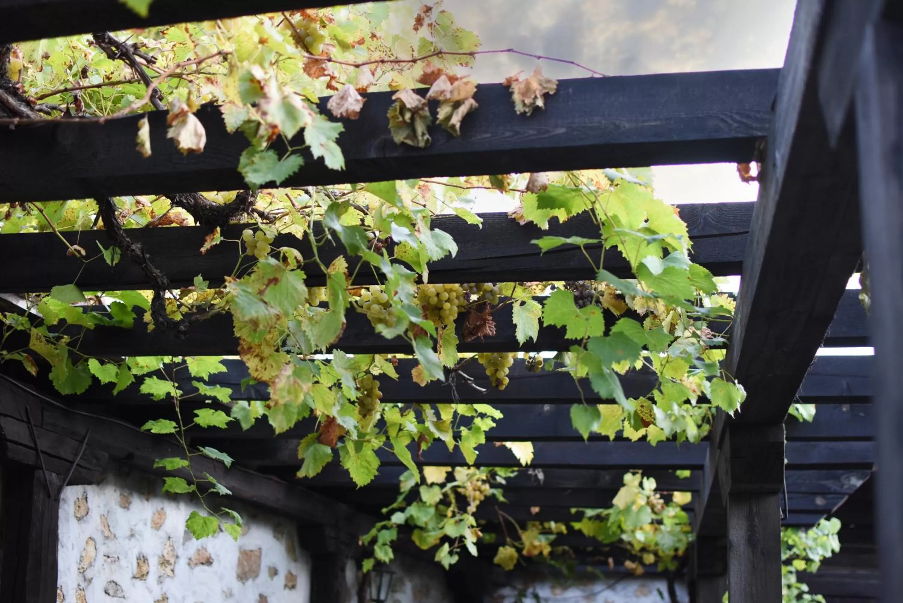 Djudjeva Kyshta Hotel