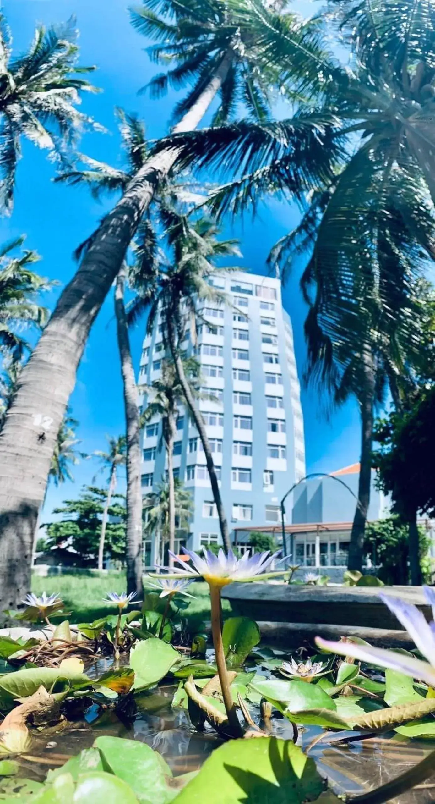 Property building in Sai Gon Phu Yen Hotel Property building in Sai Gon Phu Yen Hotel