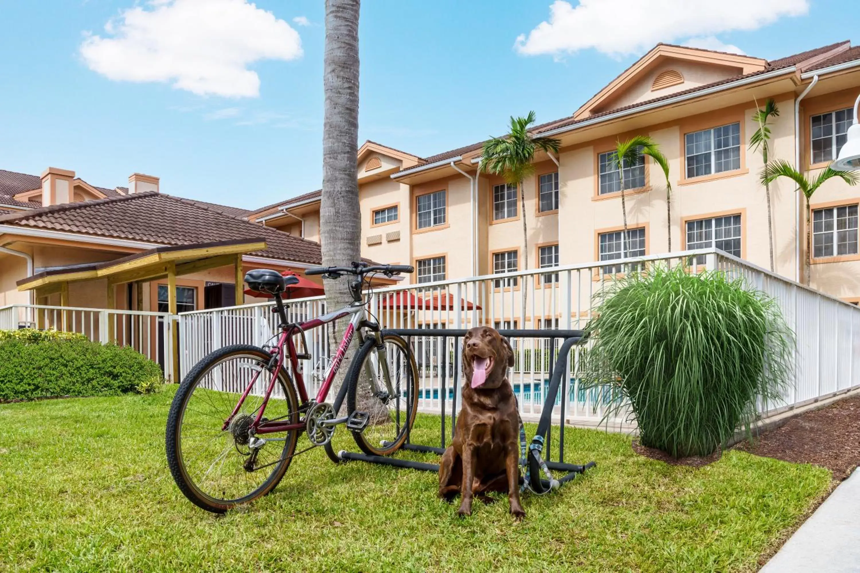 Pets, Property Building in Residence Inn West Palm Beach