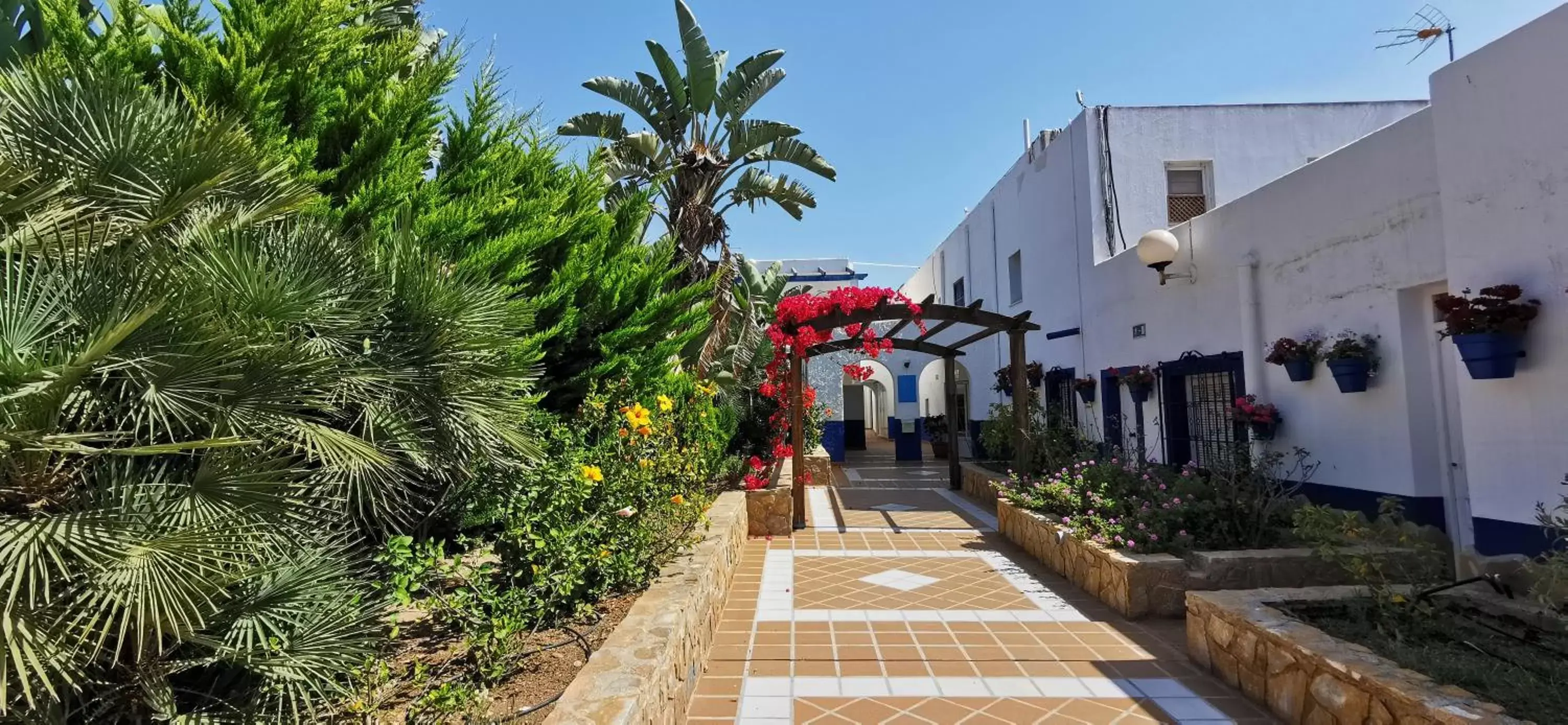 Garden view in Hotel El Puntazo I