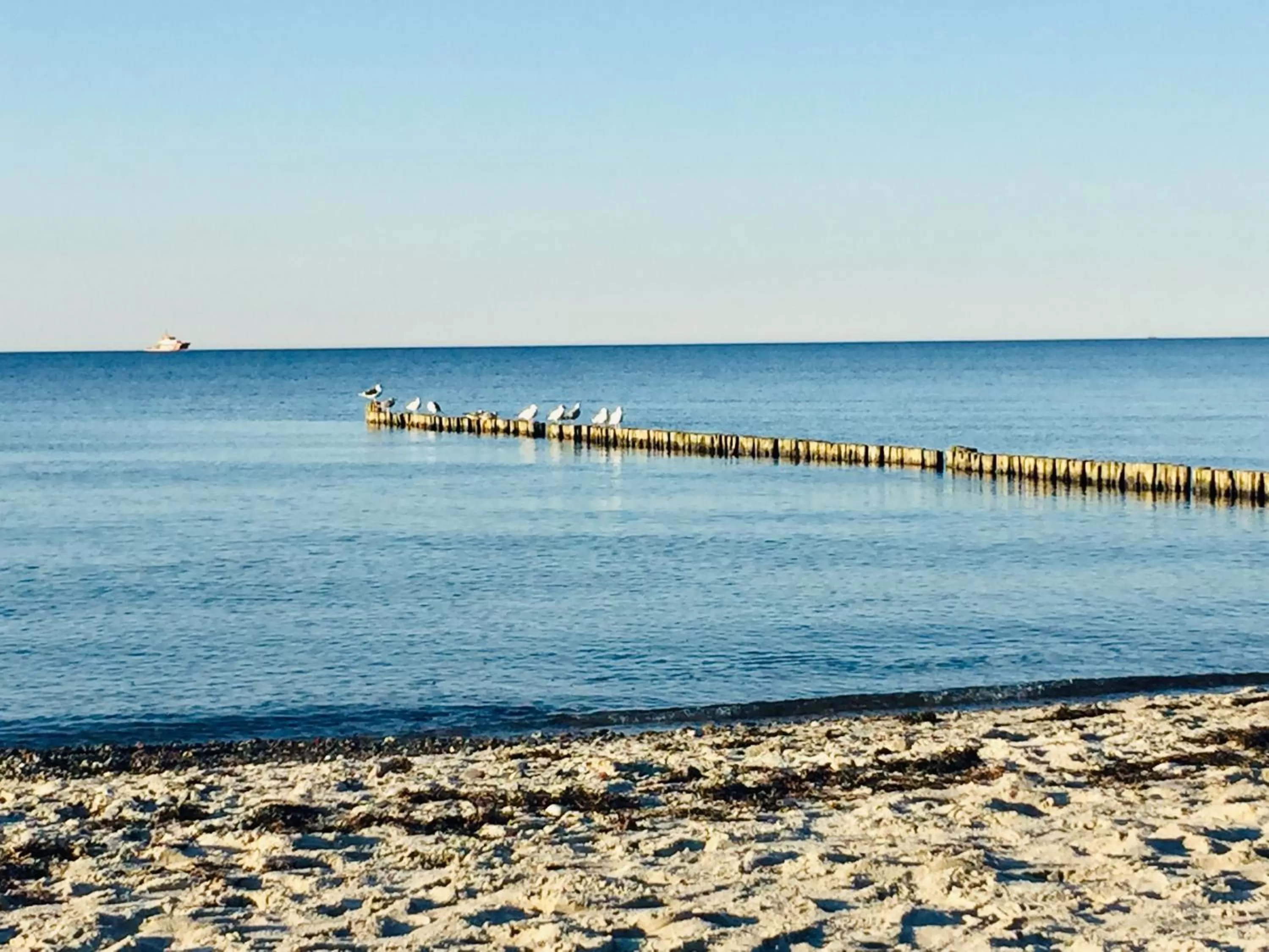 Natural landscape in Aparthotel Waterkant Suites - Fewos am Meer mit SPA