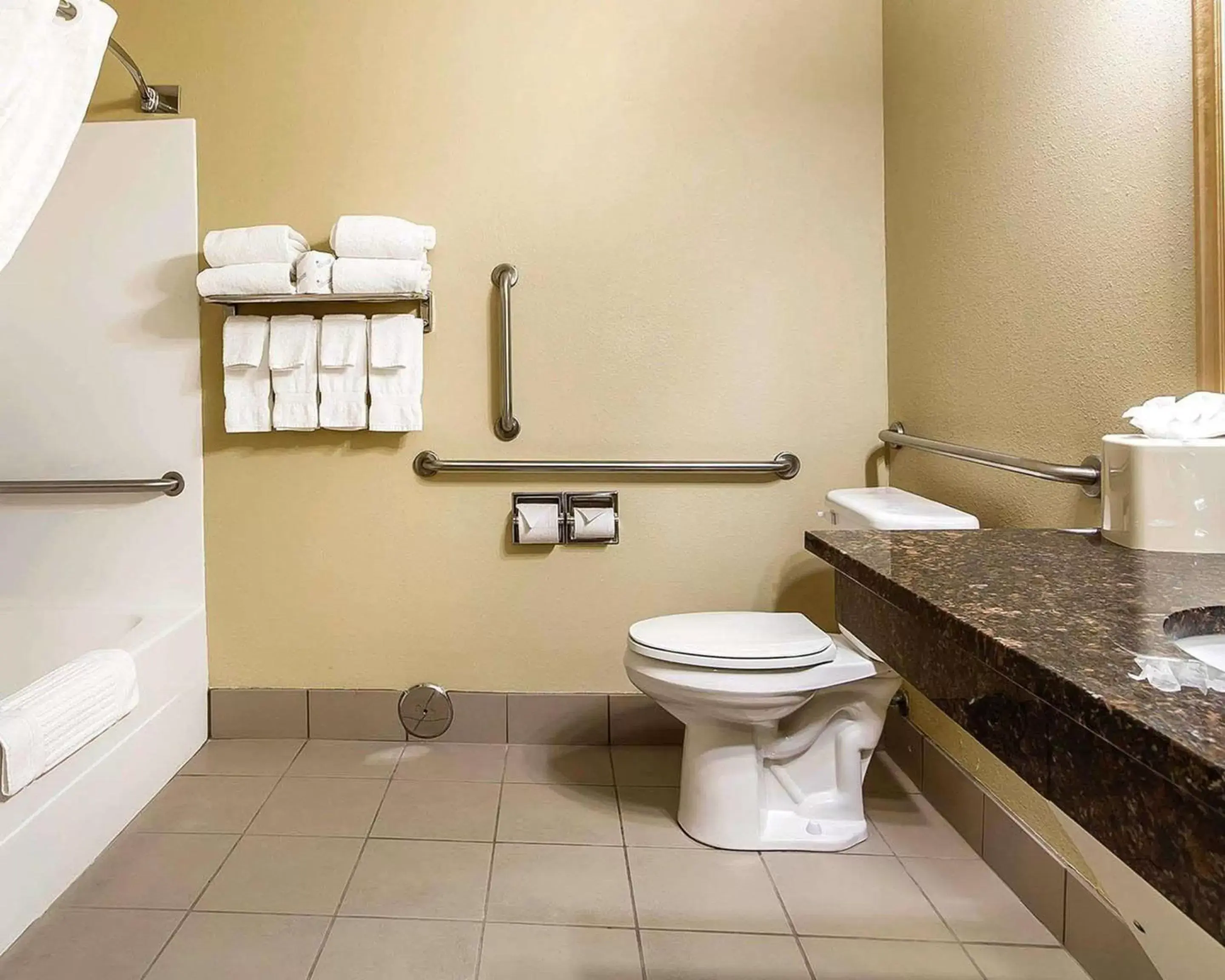 Bathroom in Comfort Inn Owatonna near Medical Center