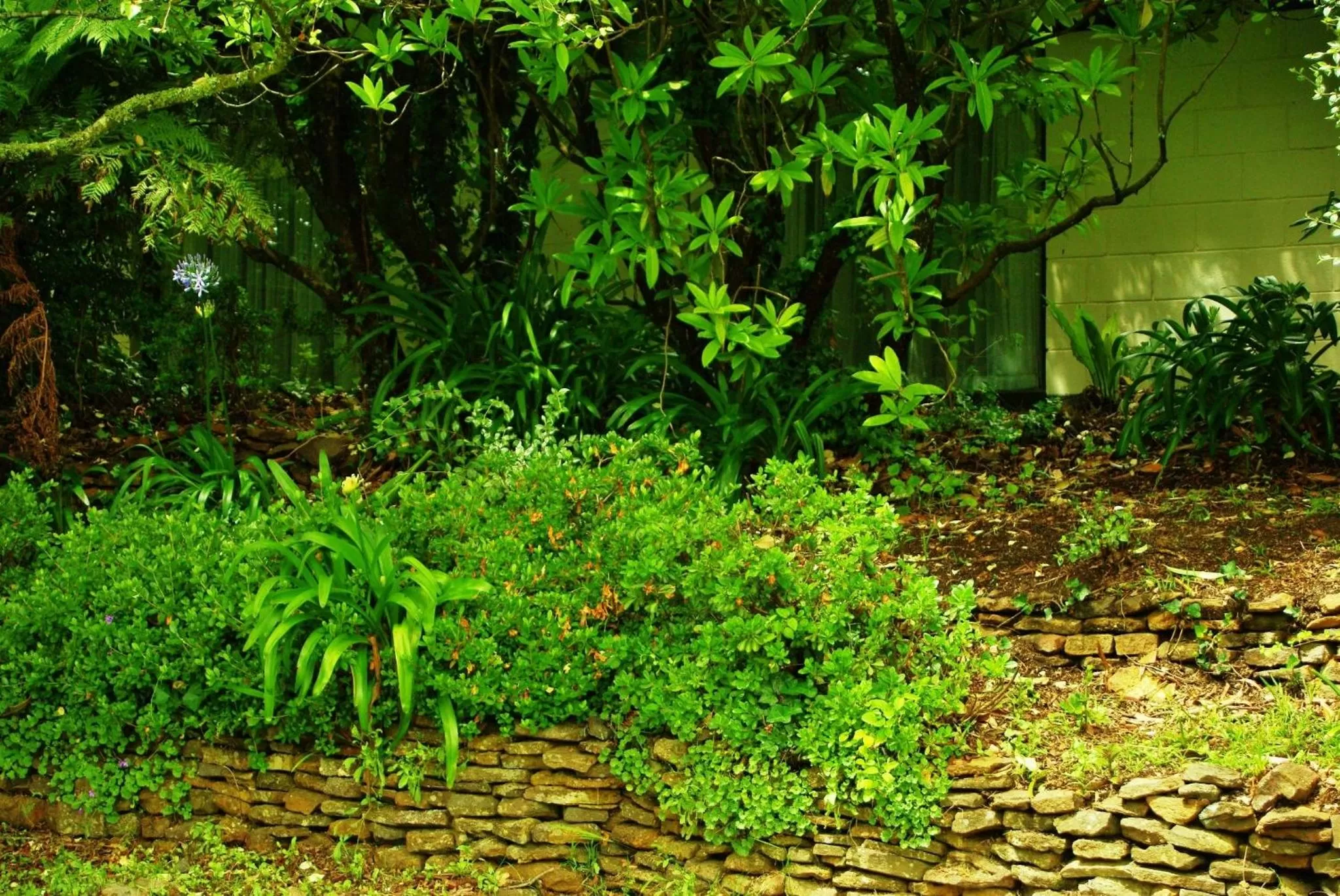 Day in Blackheath Motor Inn