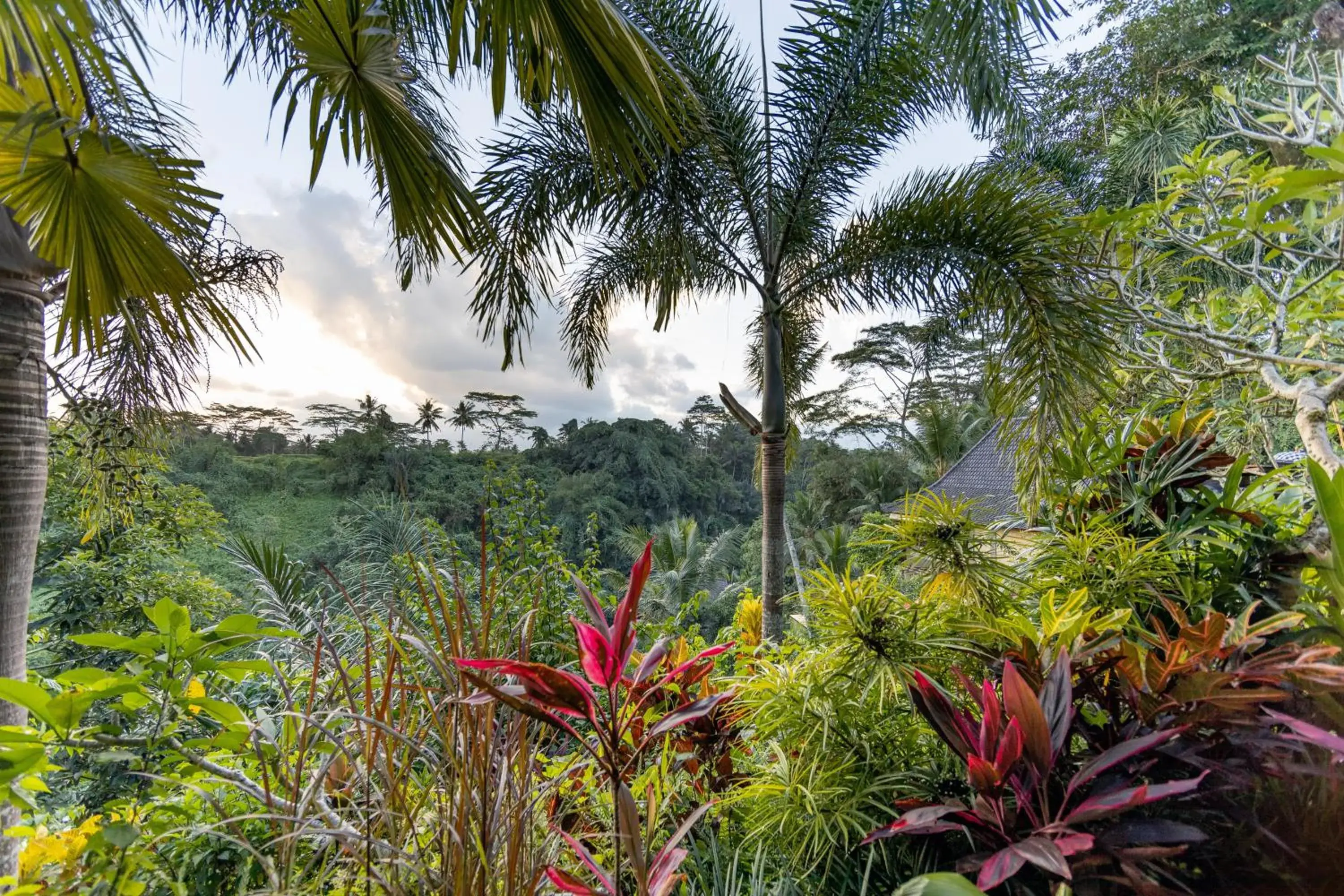 View (from property/room), Natural Landscape in Bidadari Private Villas & Retreat