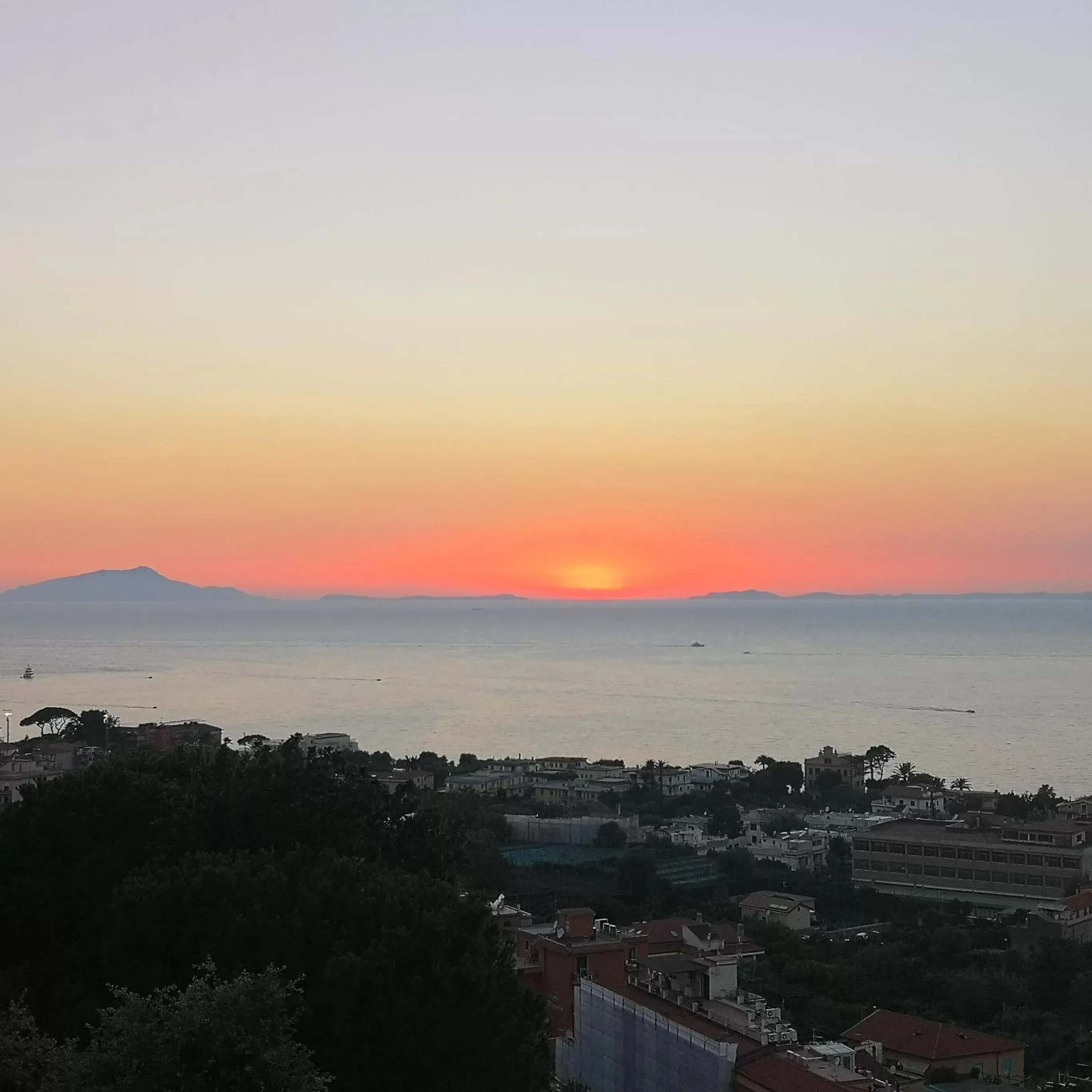 Natural landscape in Hotel Cristina