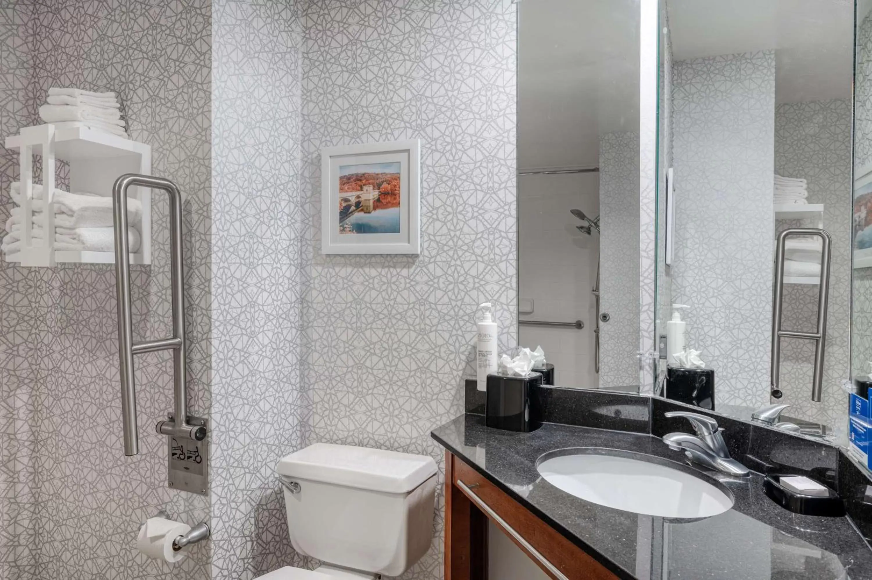 Bathroom in Hampton Inn Baltimore/White Marsh