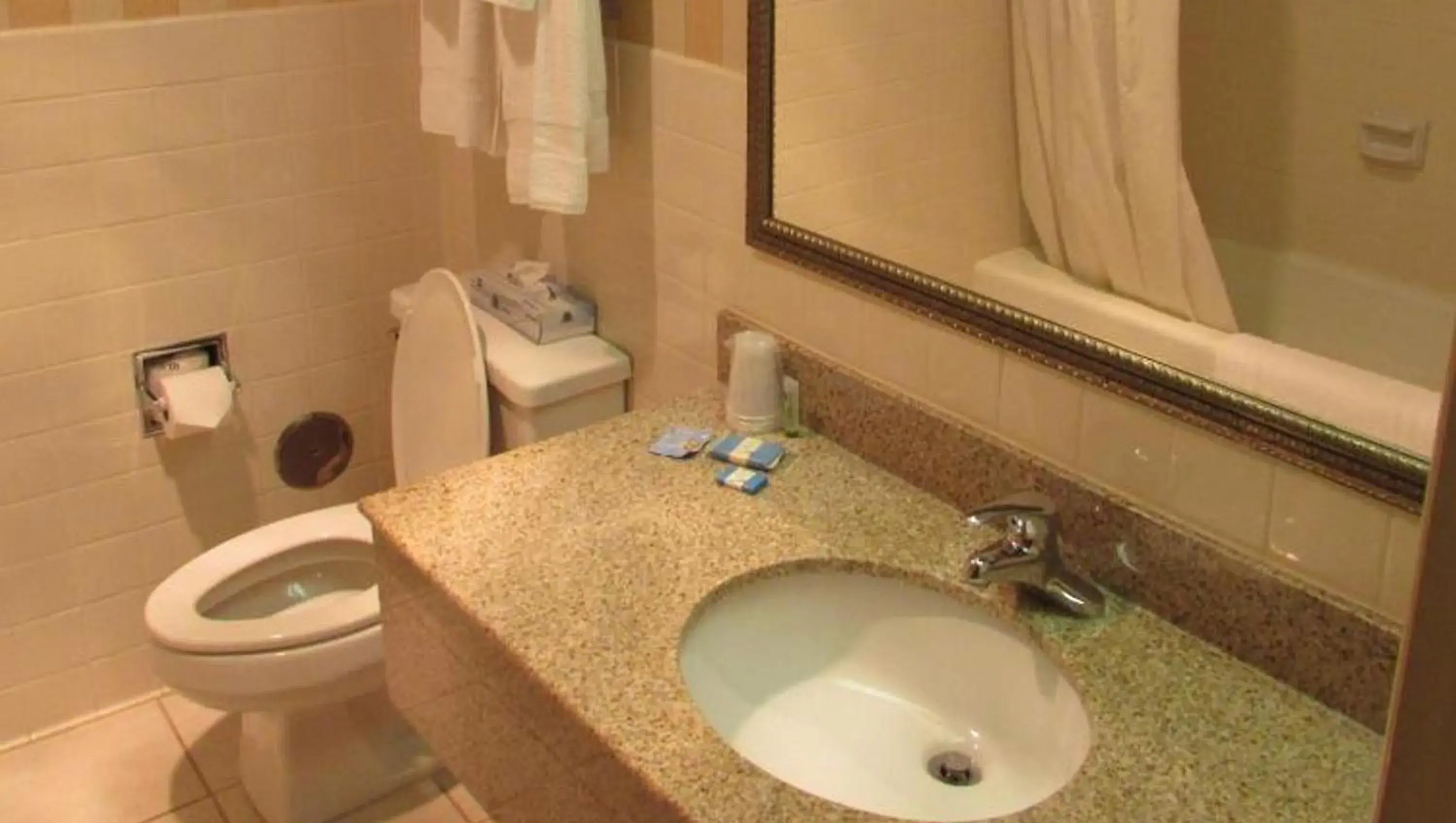 Bathroom in Magnuson Grand Pioneer Inn And Suites