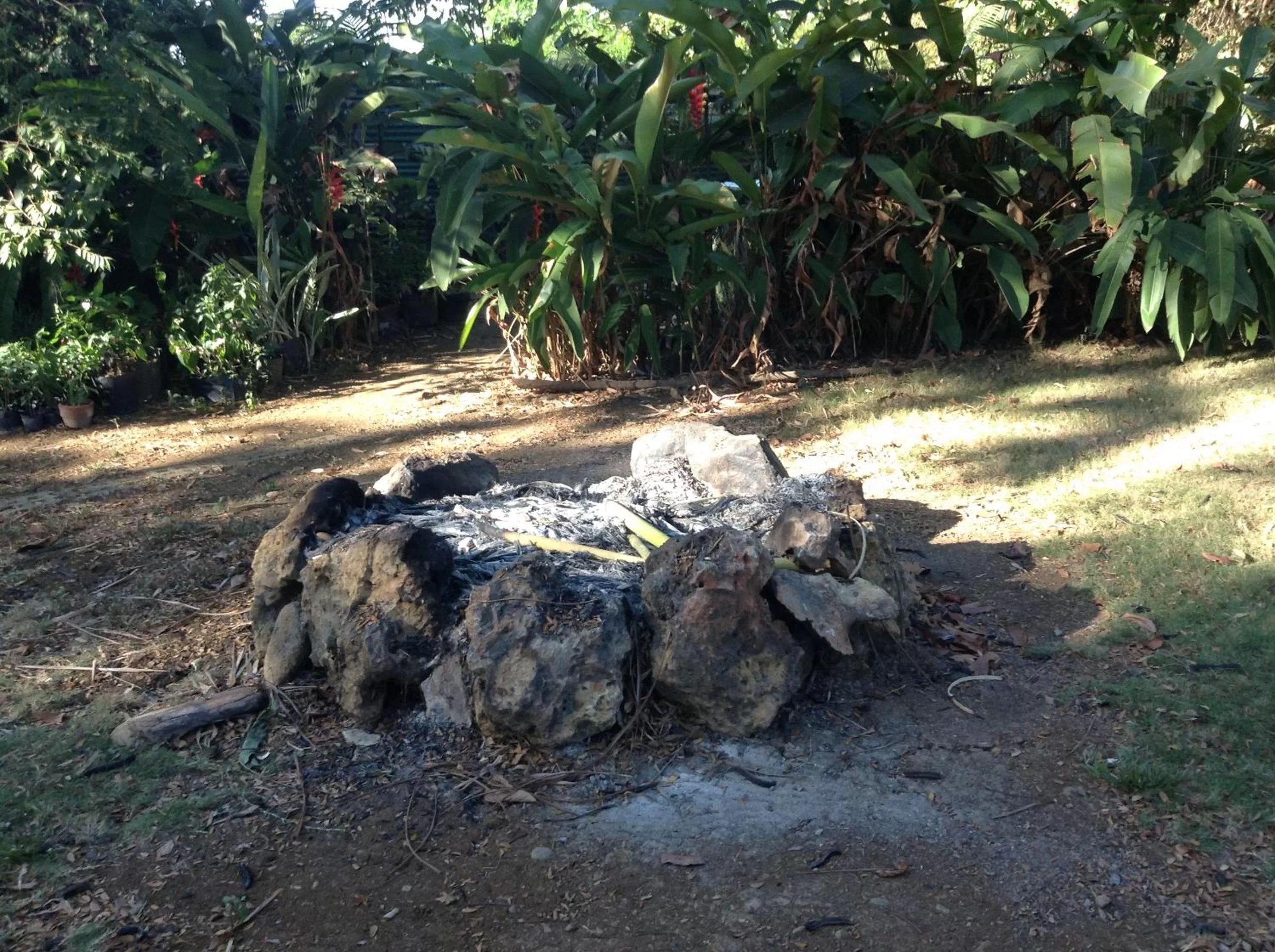 Garden in Balay Tuko Garden Inn