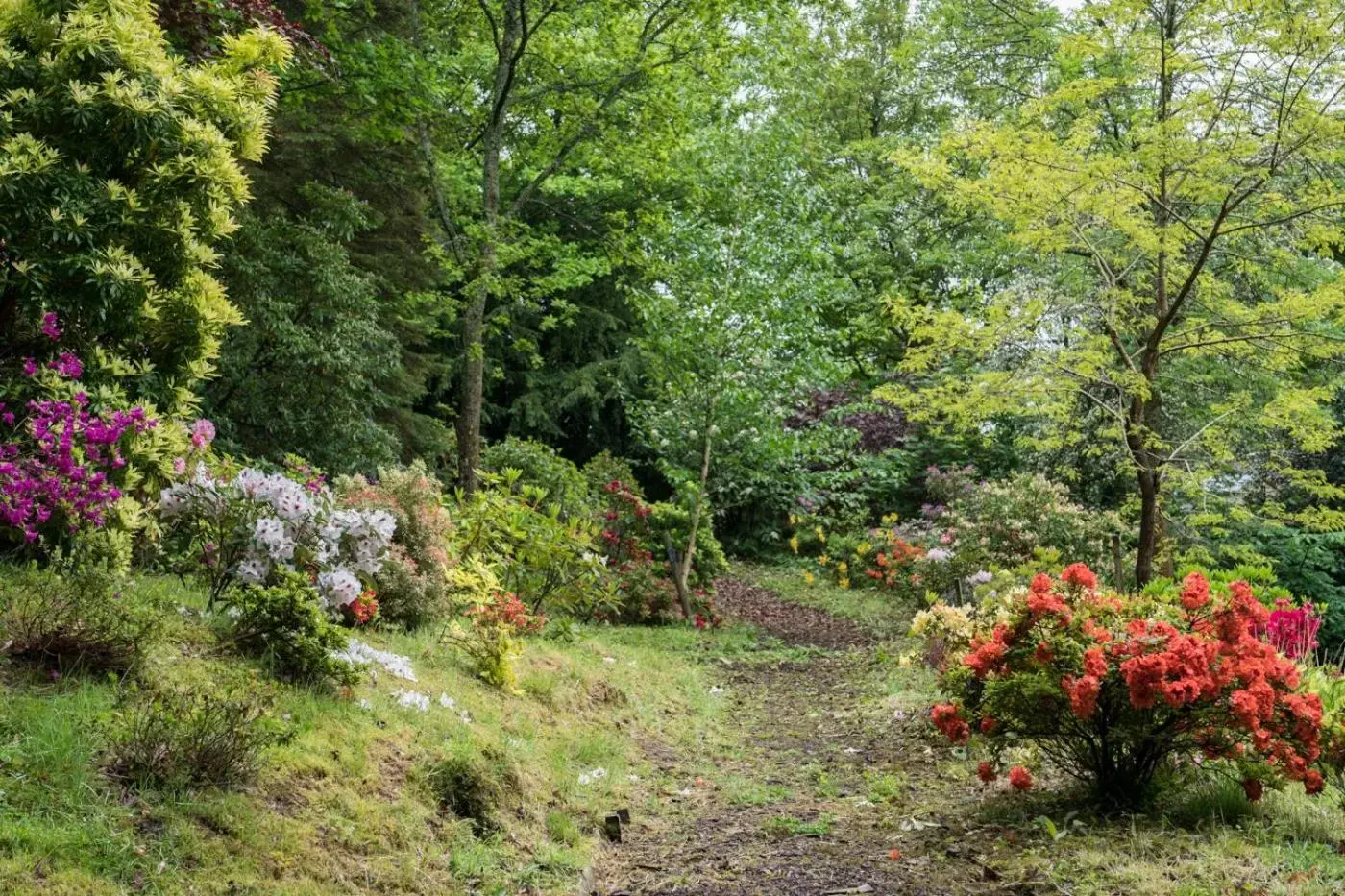 Garden, Natural Landscape in West Plean House