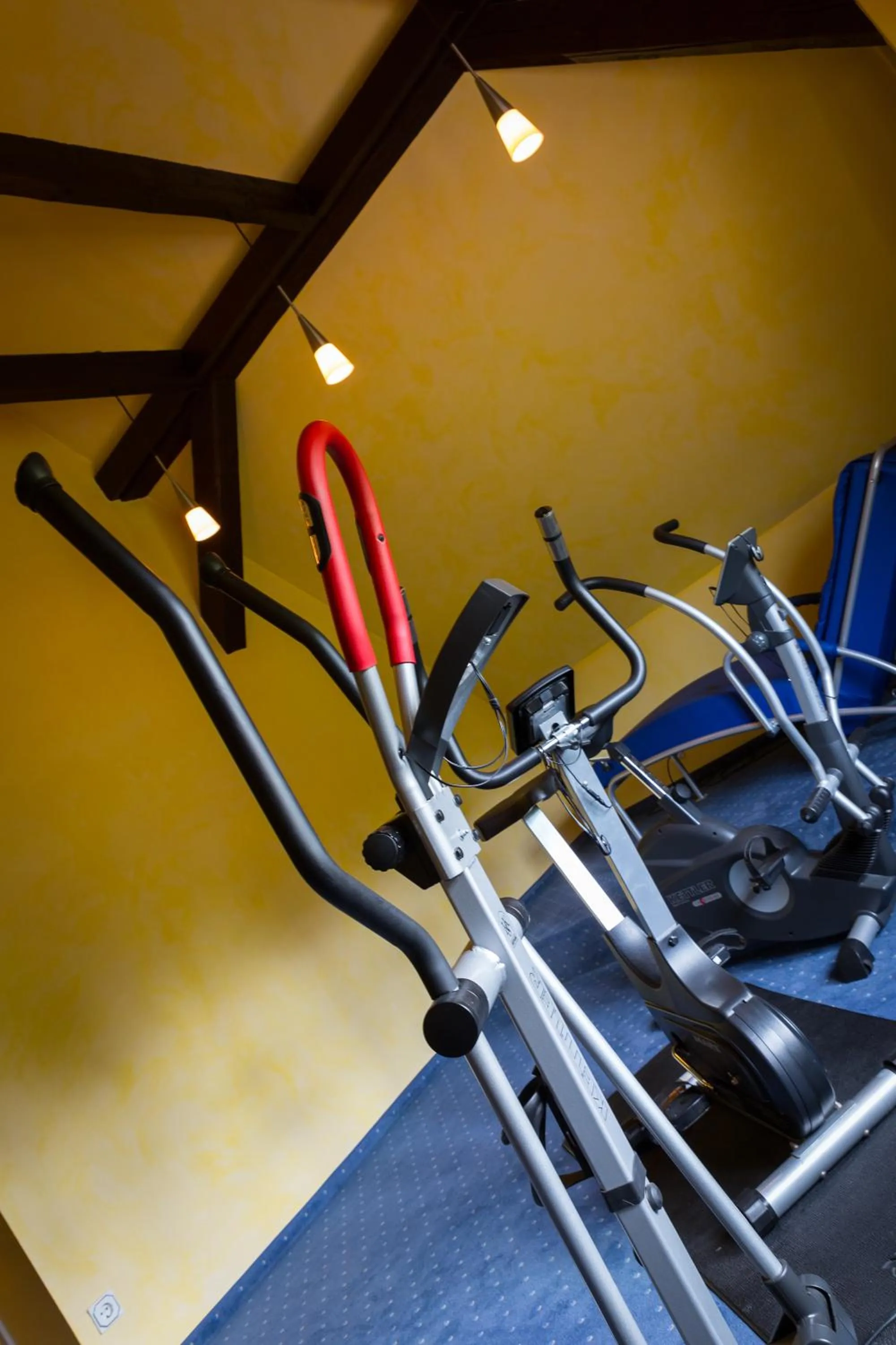 Spa and wellness centre/facilities in Parkhotel Unter den Linden