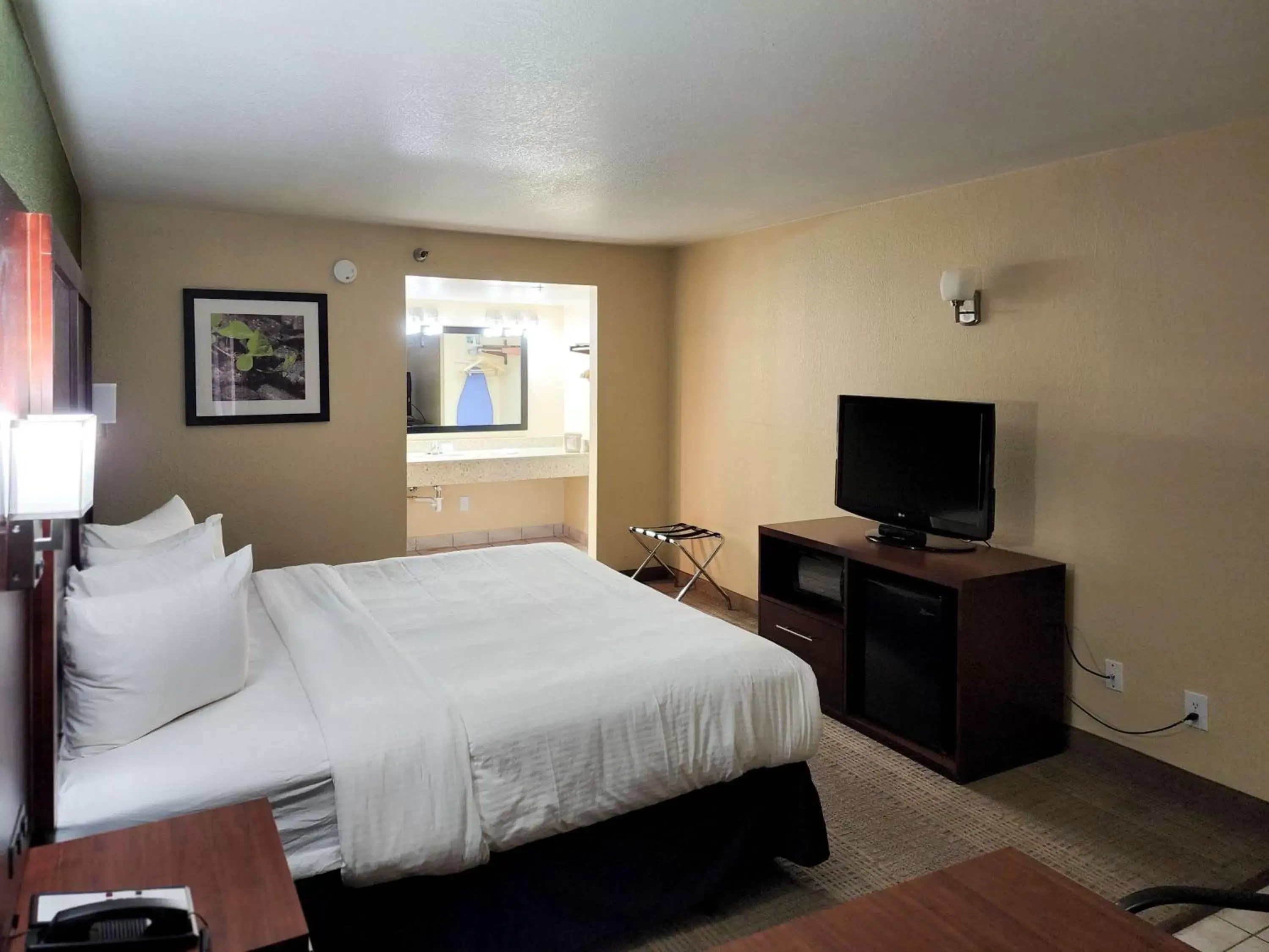 Bedroom, Bed in Studio 6 Suites - Willcox, AZ