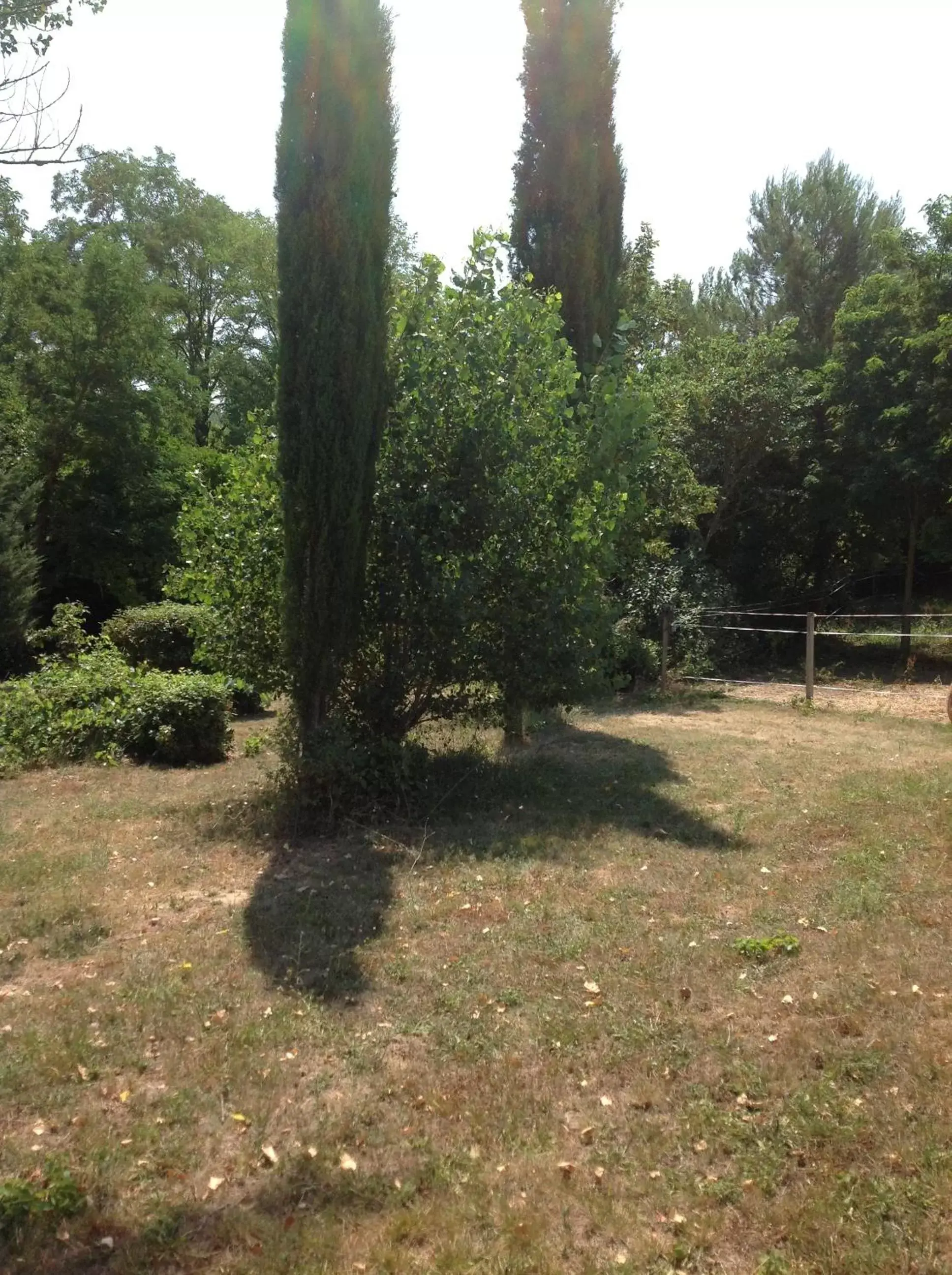 Facade/entrance, Garden in Domaine La Sauzette